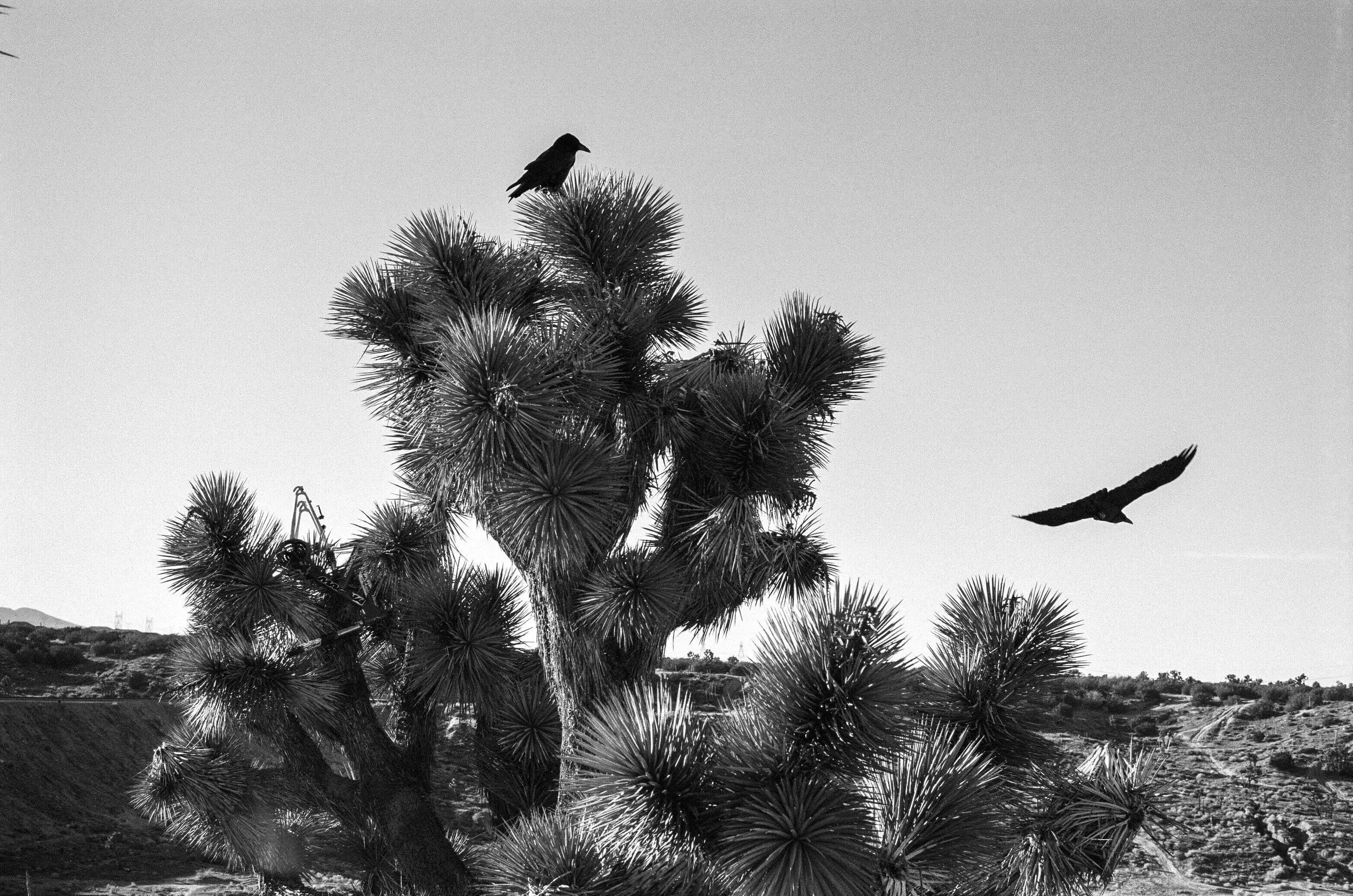 January 2023-114.jpg