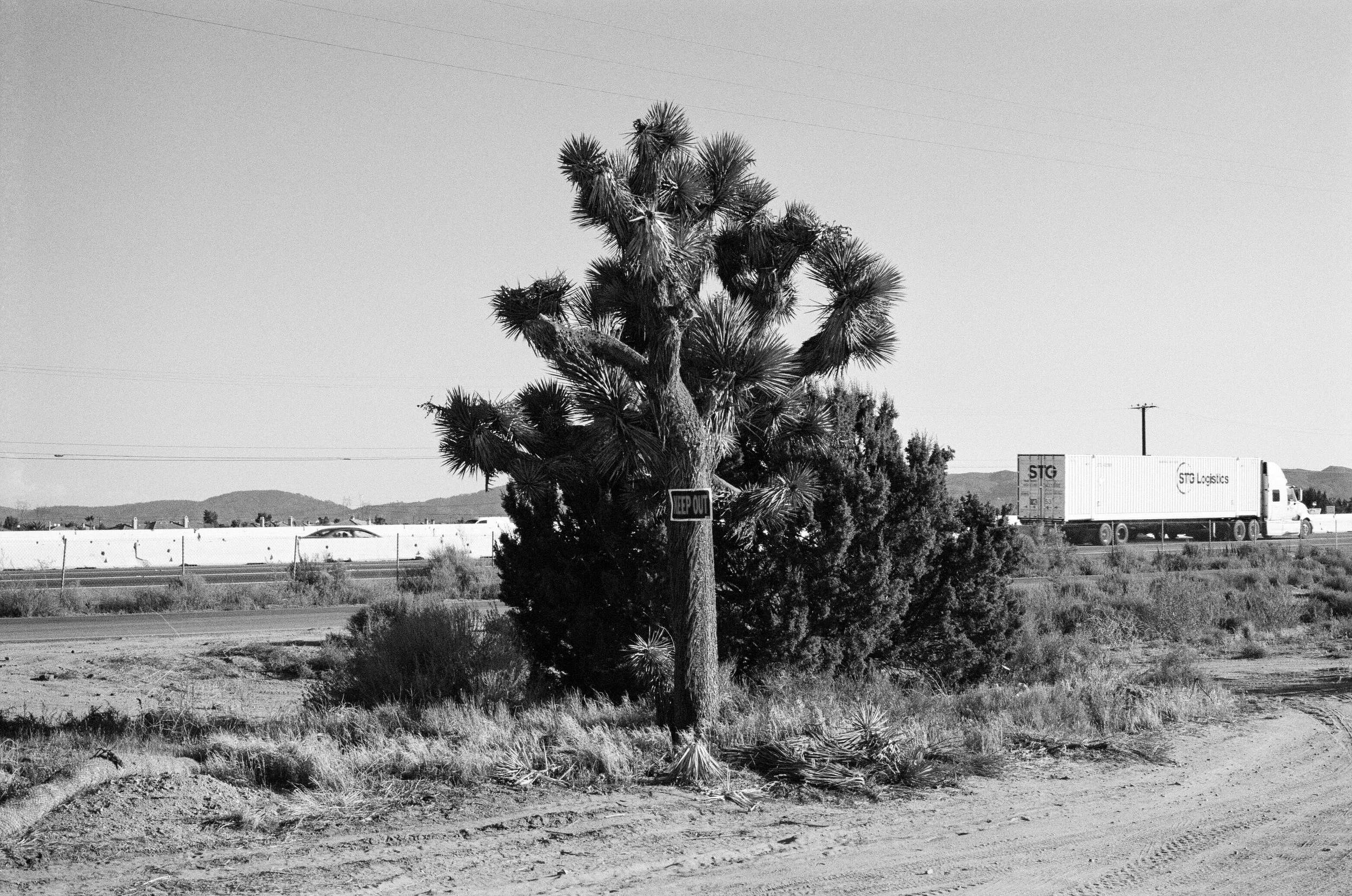 October 2022-147.jpg