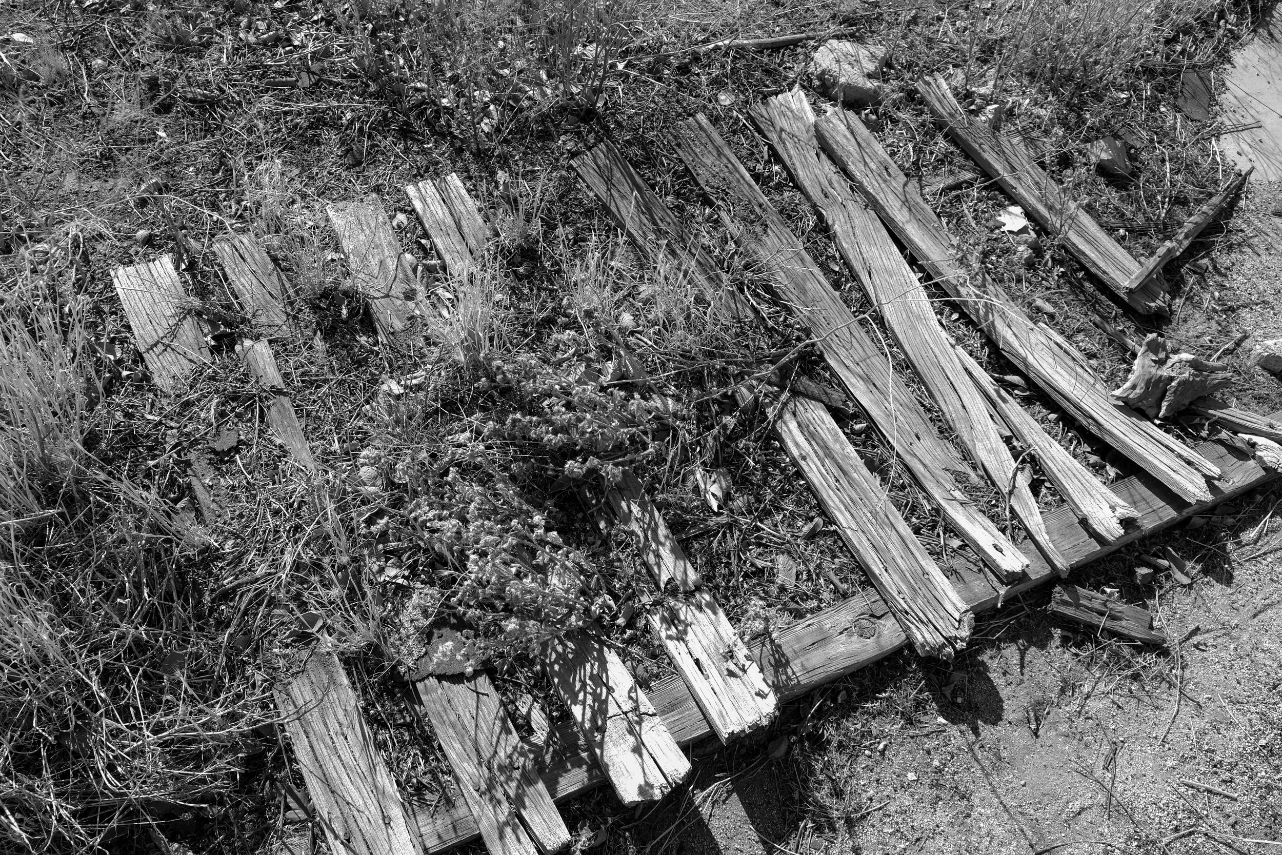 RECORD OF DECISION-3.jpg