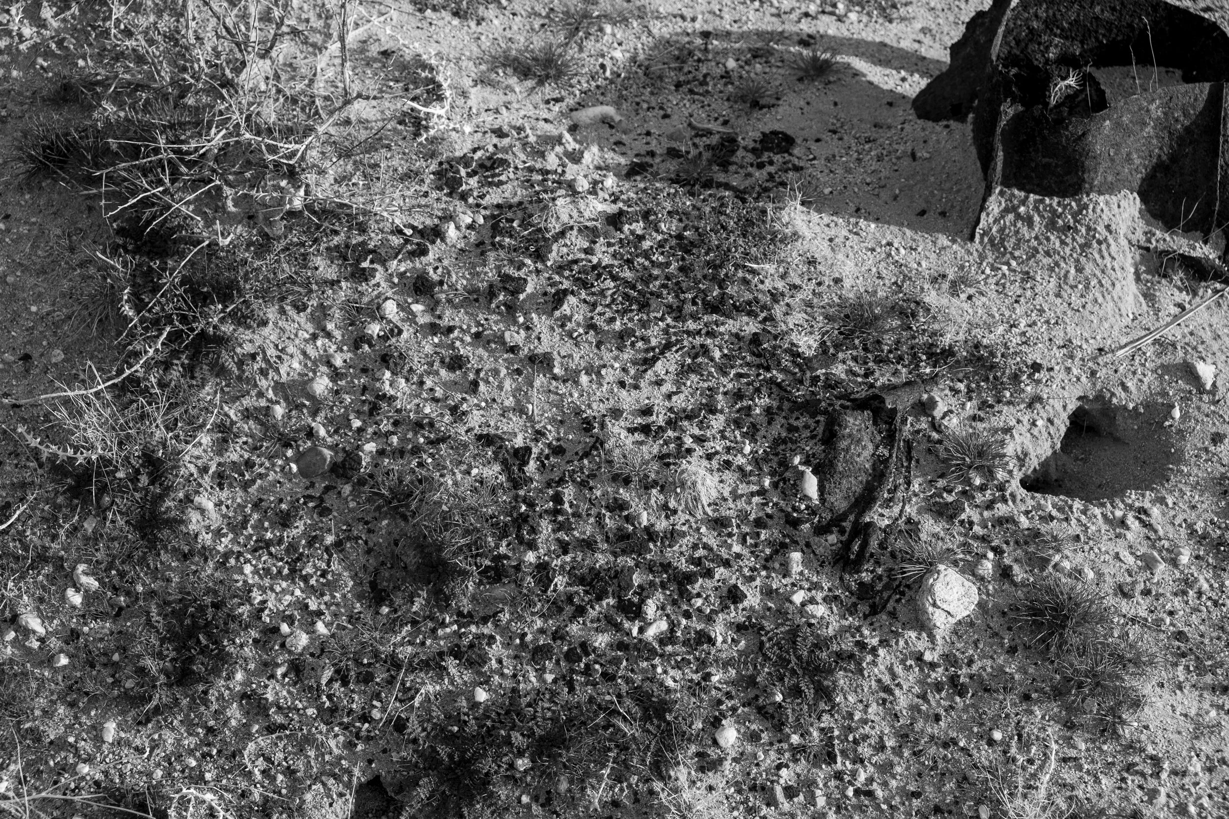 DEFENSE SITES PBR#8-18.JPG