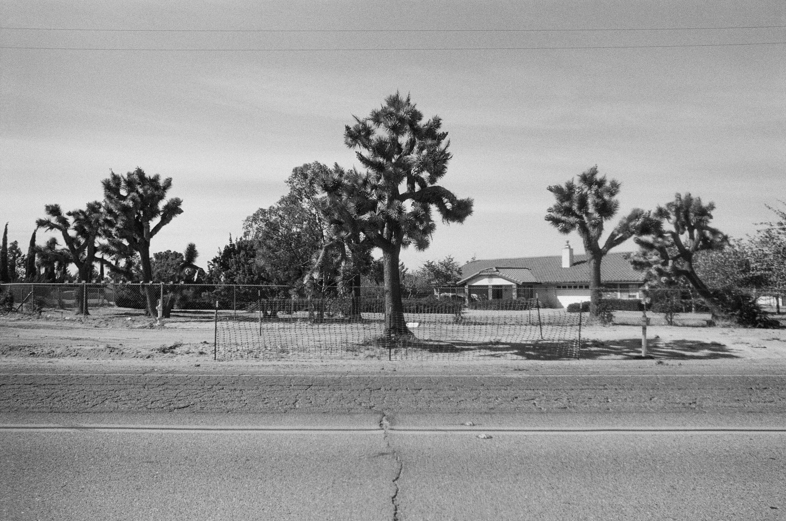 Ranchero Road Expansion B&w-6.jpg