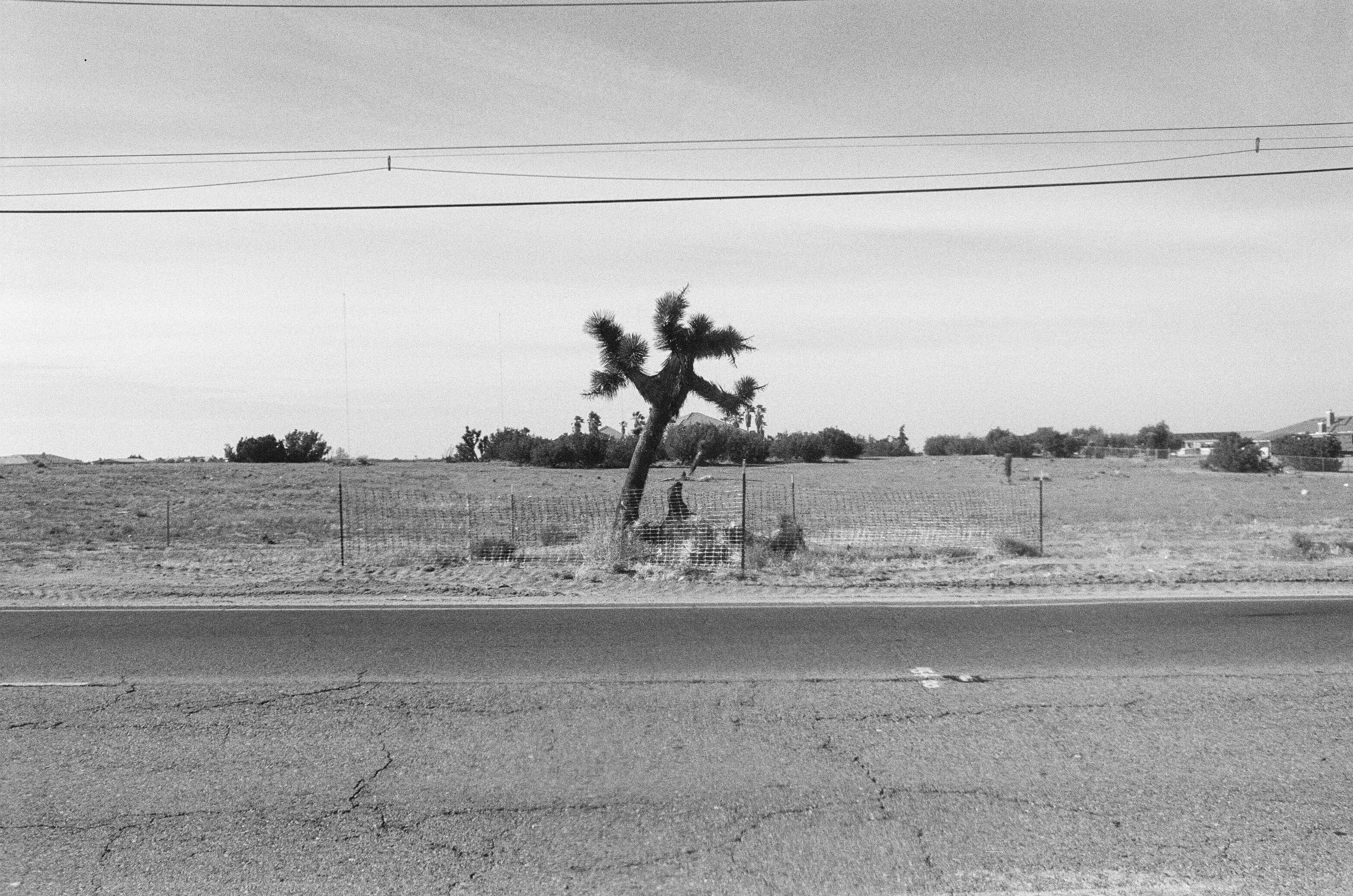 Ranchero Road Expansion B&w-2.jpg