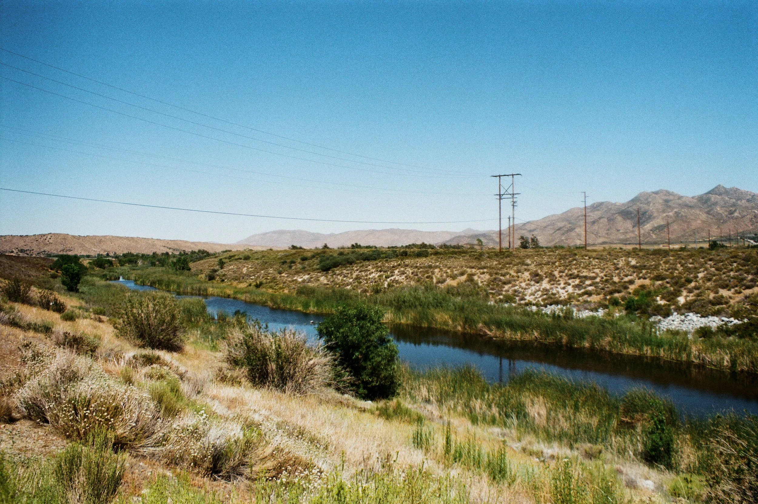 Tapestry Solos-93.jpg