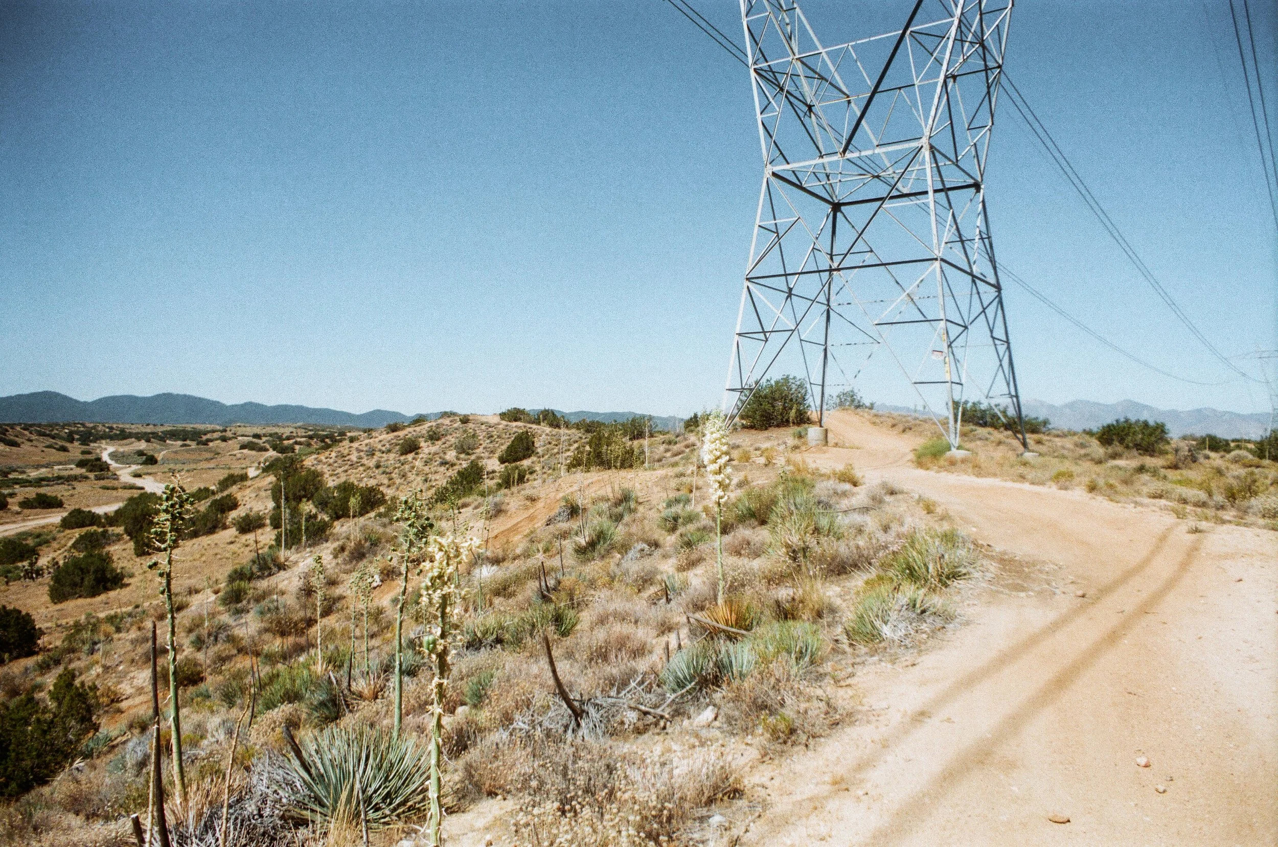 Tapestry Solos-183.jpg