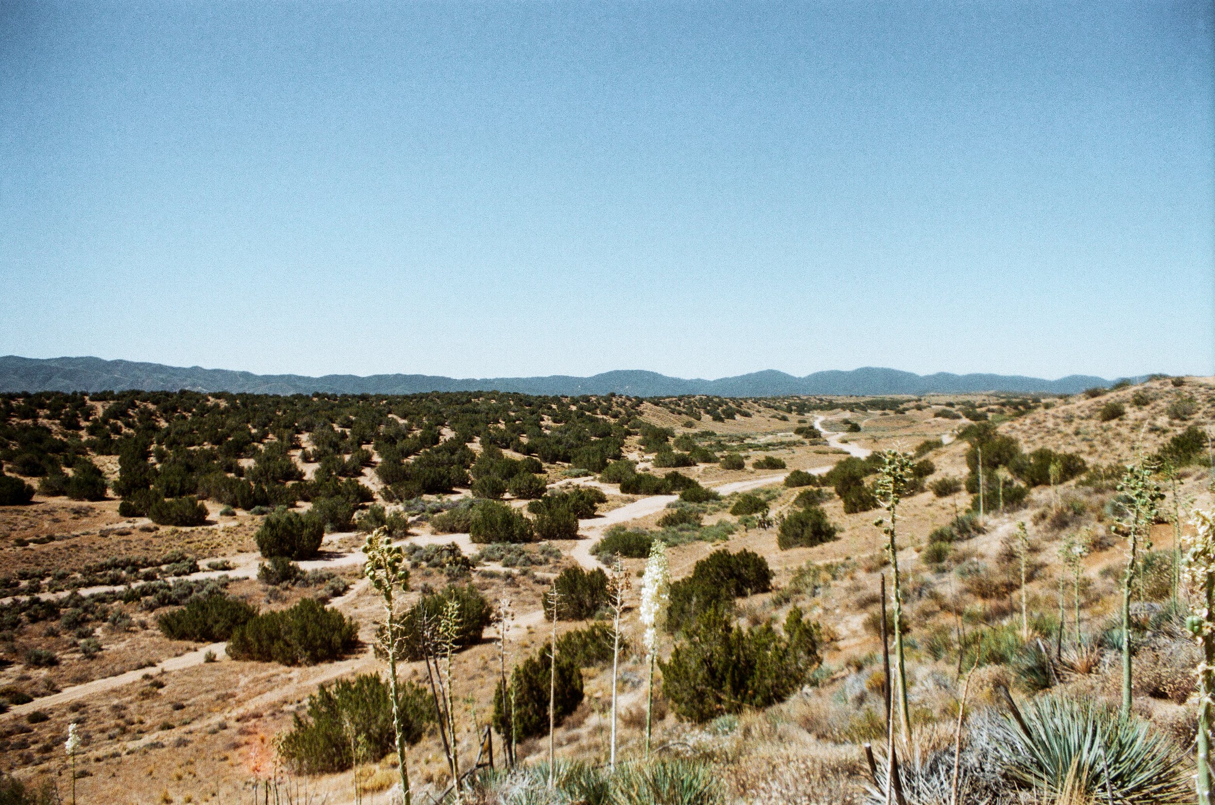 Tapestry Solos-184.jpg
