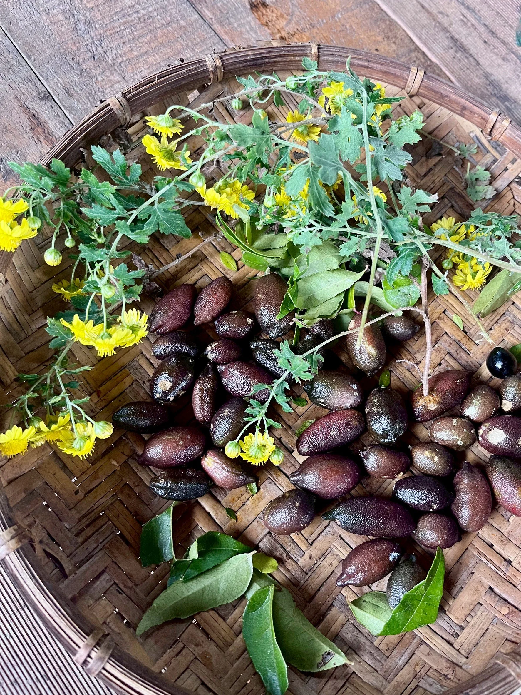 Customized work shop by The T Scout