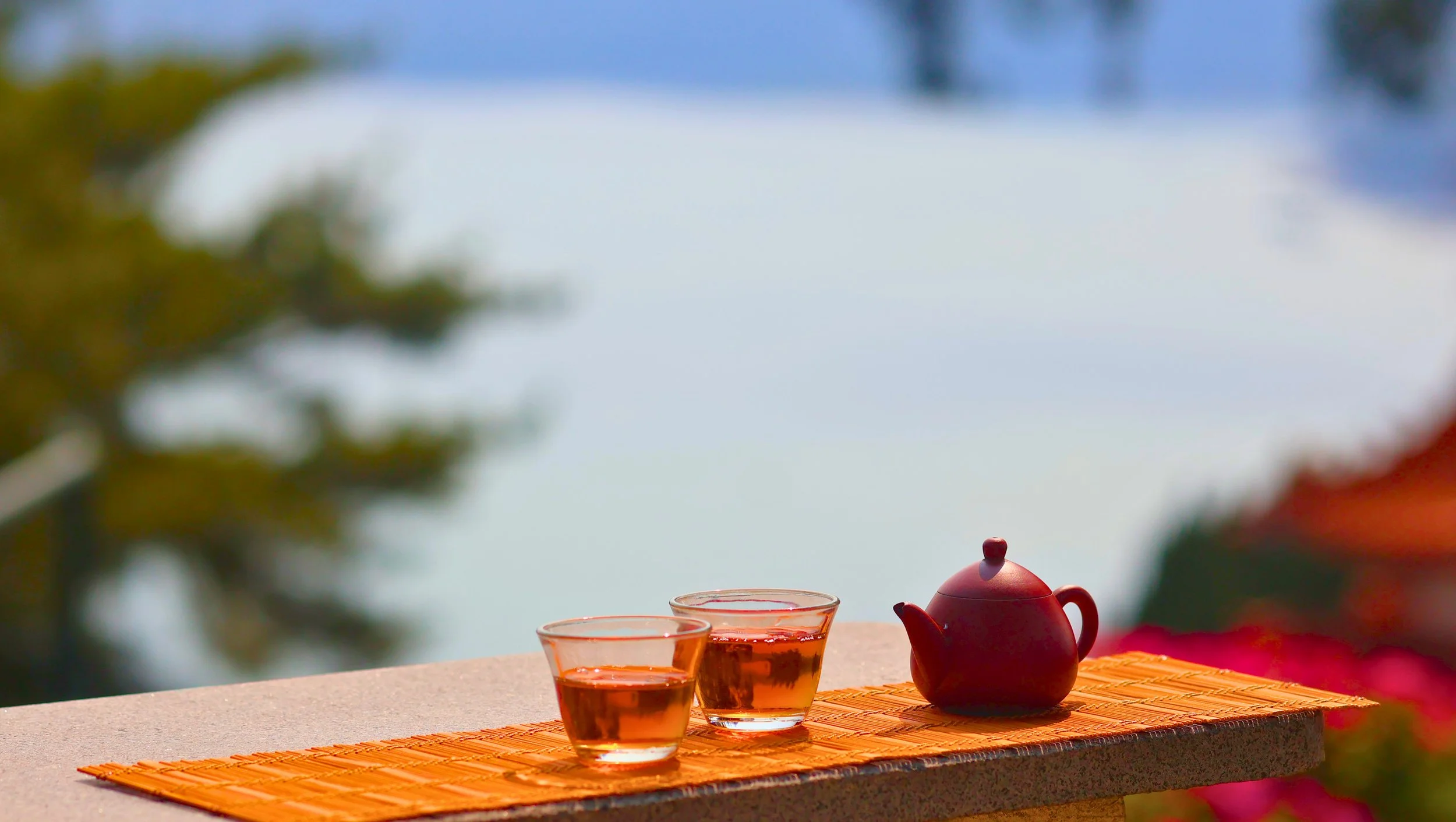 The Tea Taiwan Almost Forgot