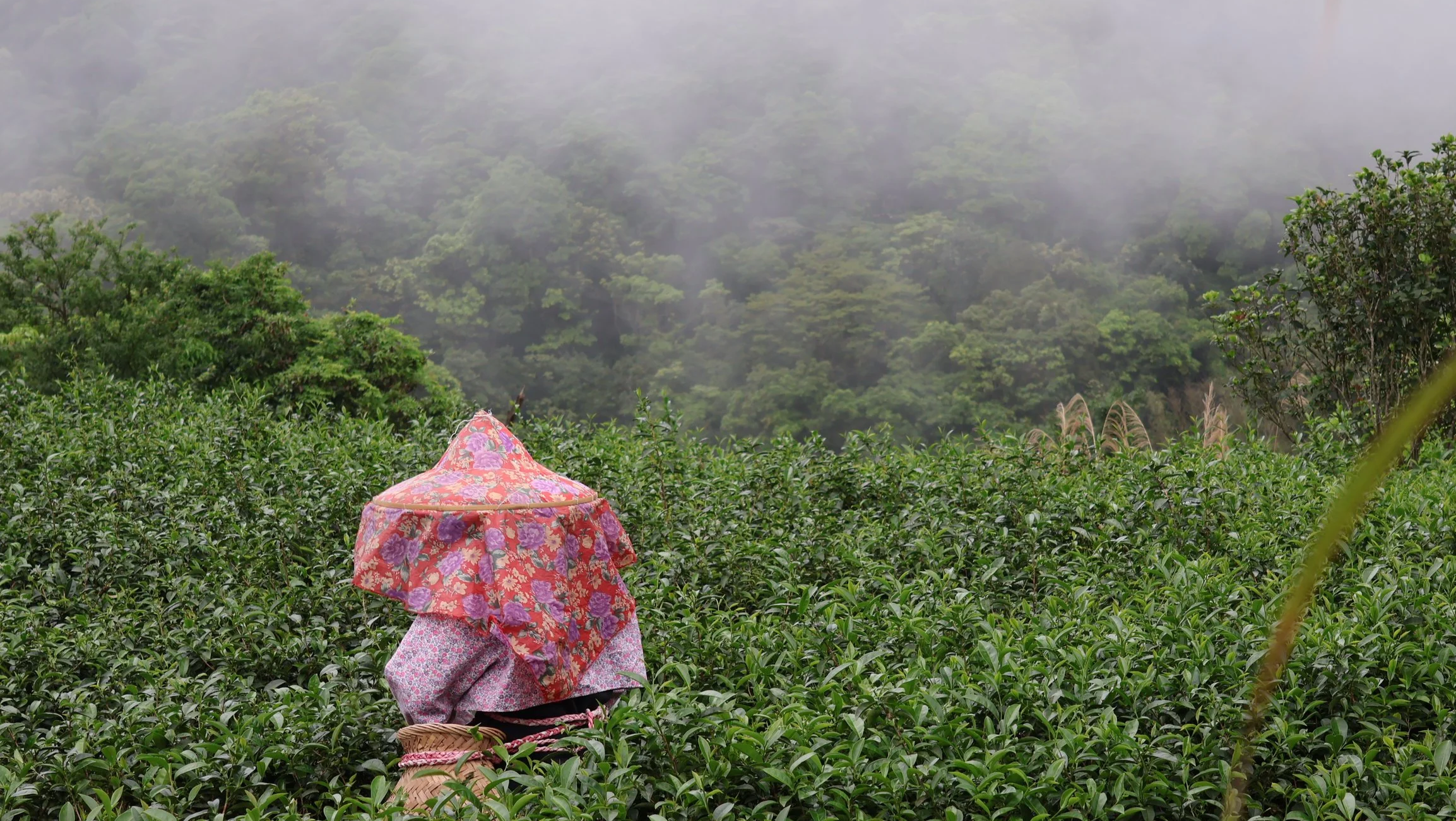 Michelin Tea Restaurant-  Hidden Spring of Taipei