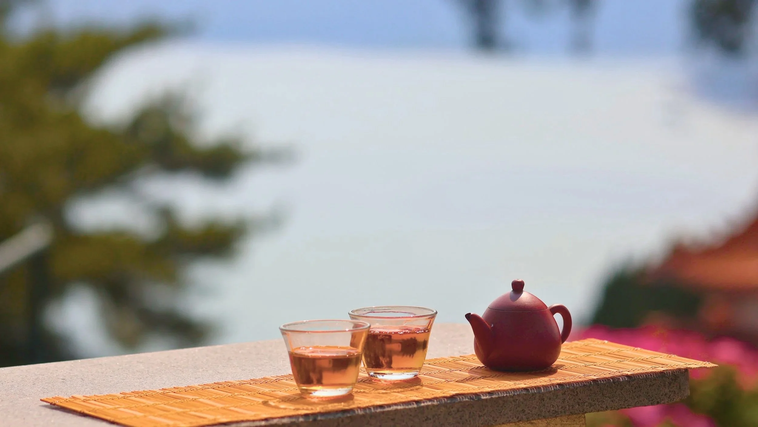 The Tea Almost Forgotten in Sun Moon Lake