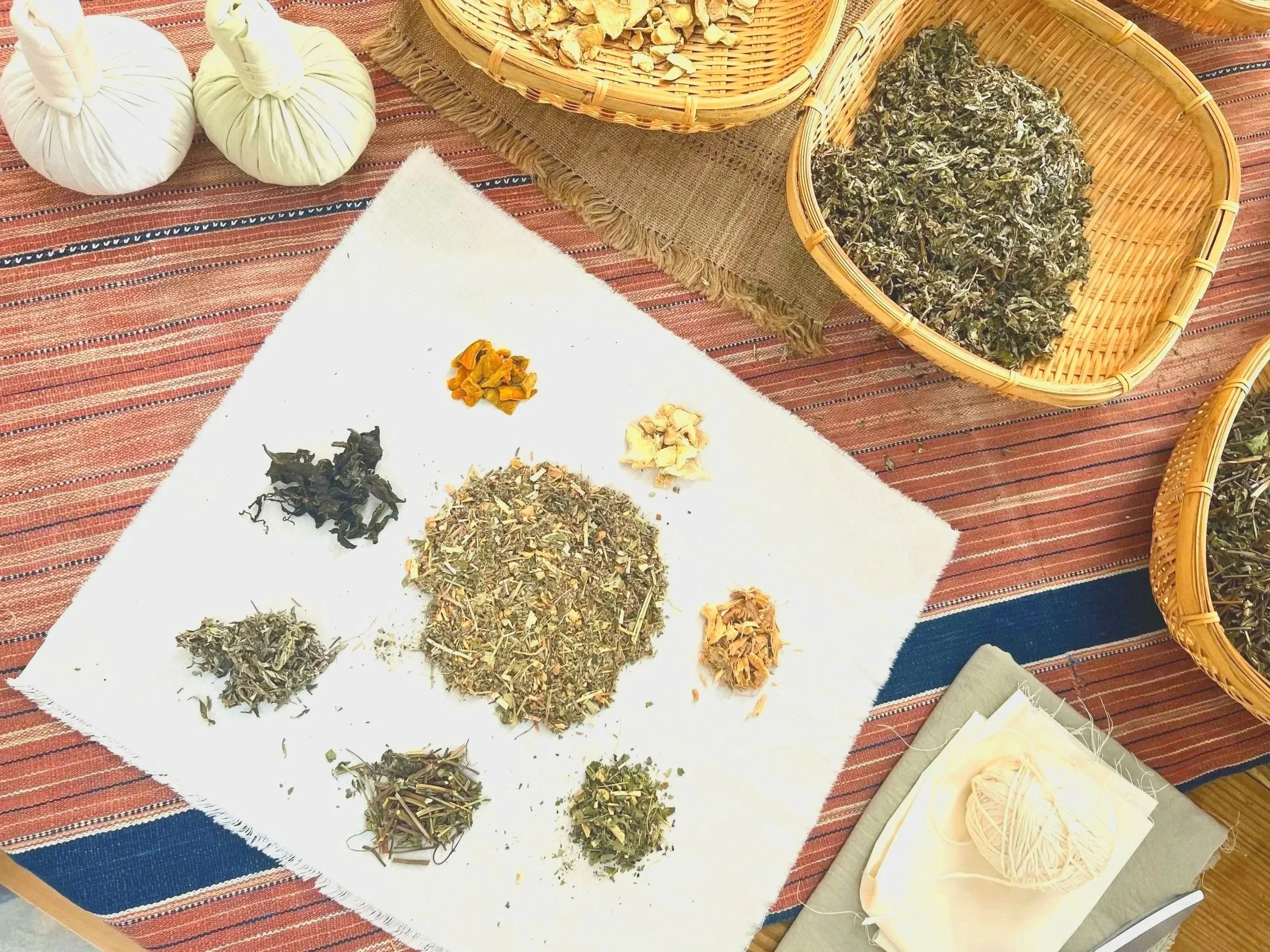 Taipei Herbal Culture - The City's Wild Forager