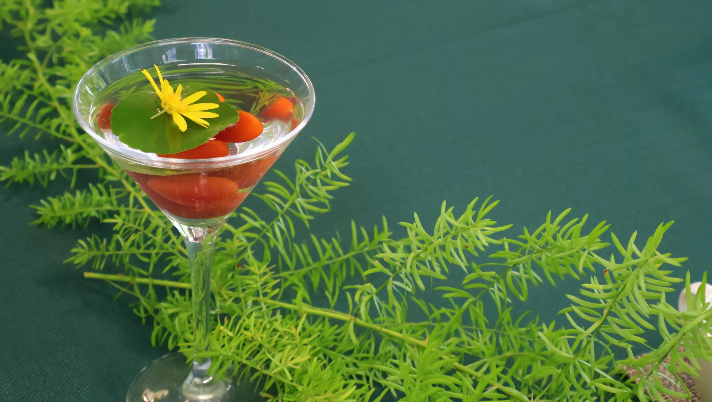 Taiwan's Award-Winning Eco Farm Table