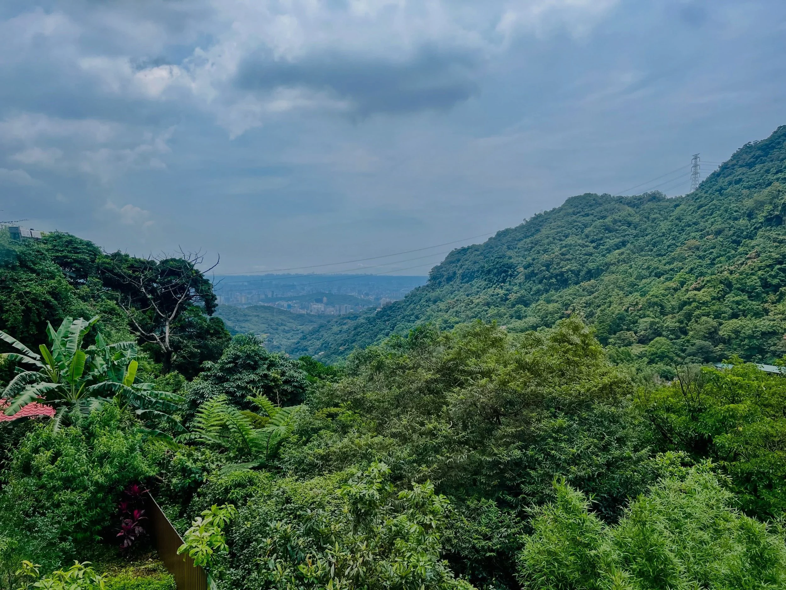 If there were no Tea Master Chang Nai-Miao, there would be no tieguanyin tea in Taiwan. 

130 years ago, Master Chang brought the tea plant from Fujian, China &mdash; and became the defining figure of oolong tea culture in northern Taiwan. 

His memo