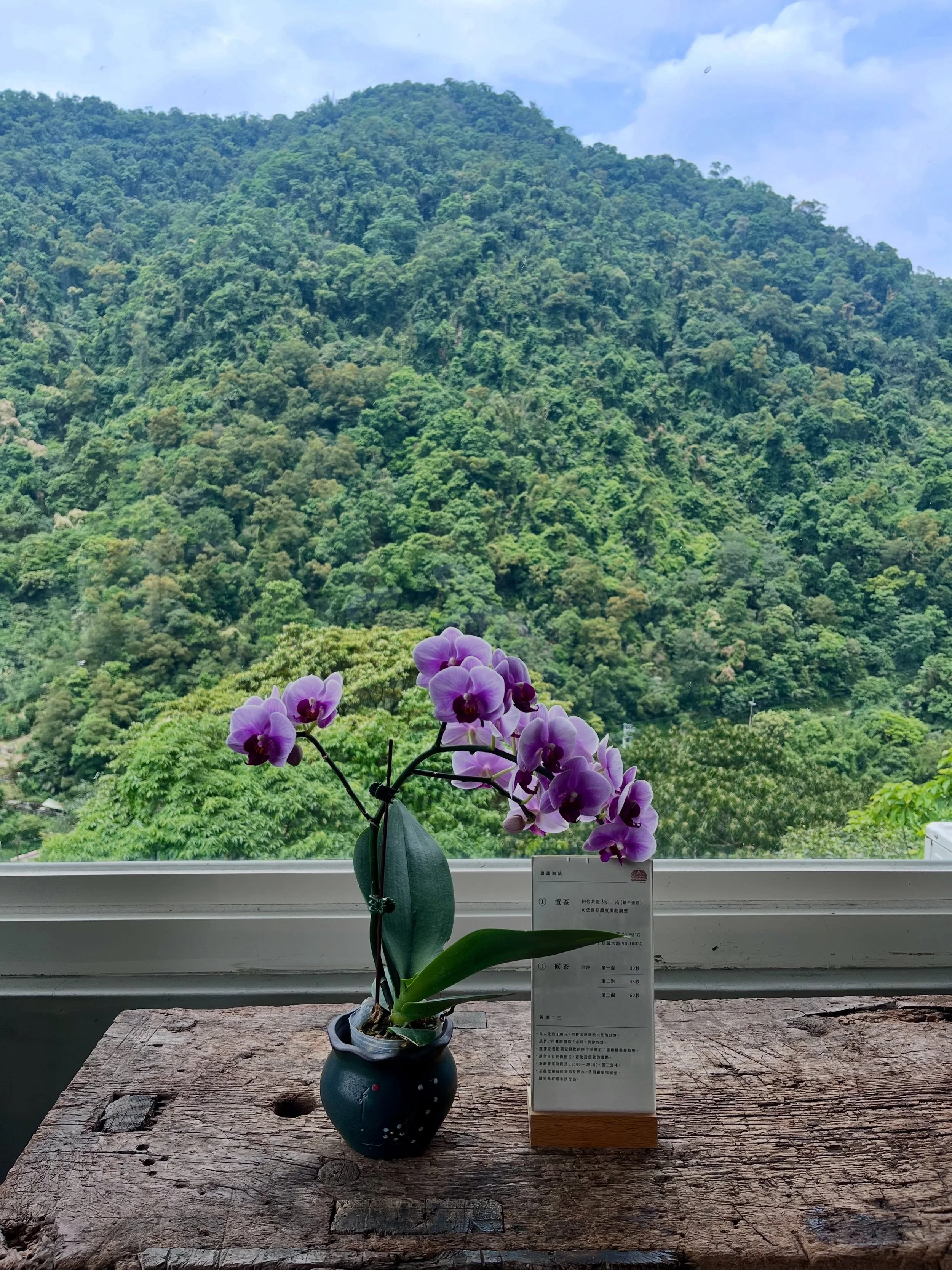 It's certainly the most beautiful tea house in Maokong. 😍

For over 30 years, uncel Well has been growing Tieguanyin in Maokong the hard way &mdash; organic, no pesticides, no chemical fertilizers. Weeds pulled by hand. Bugs caught by hand. A third 