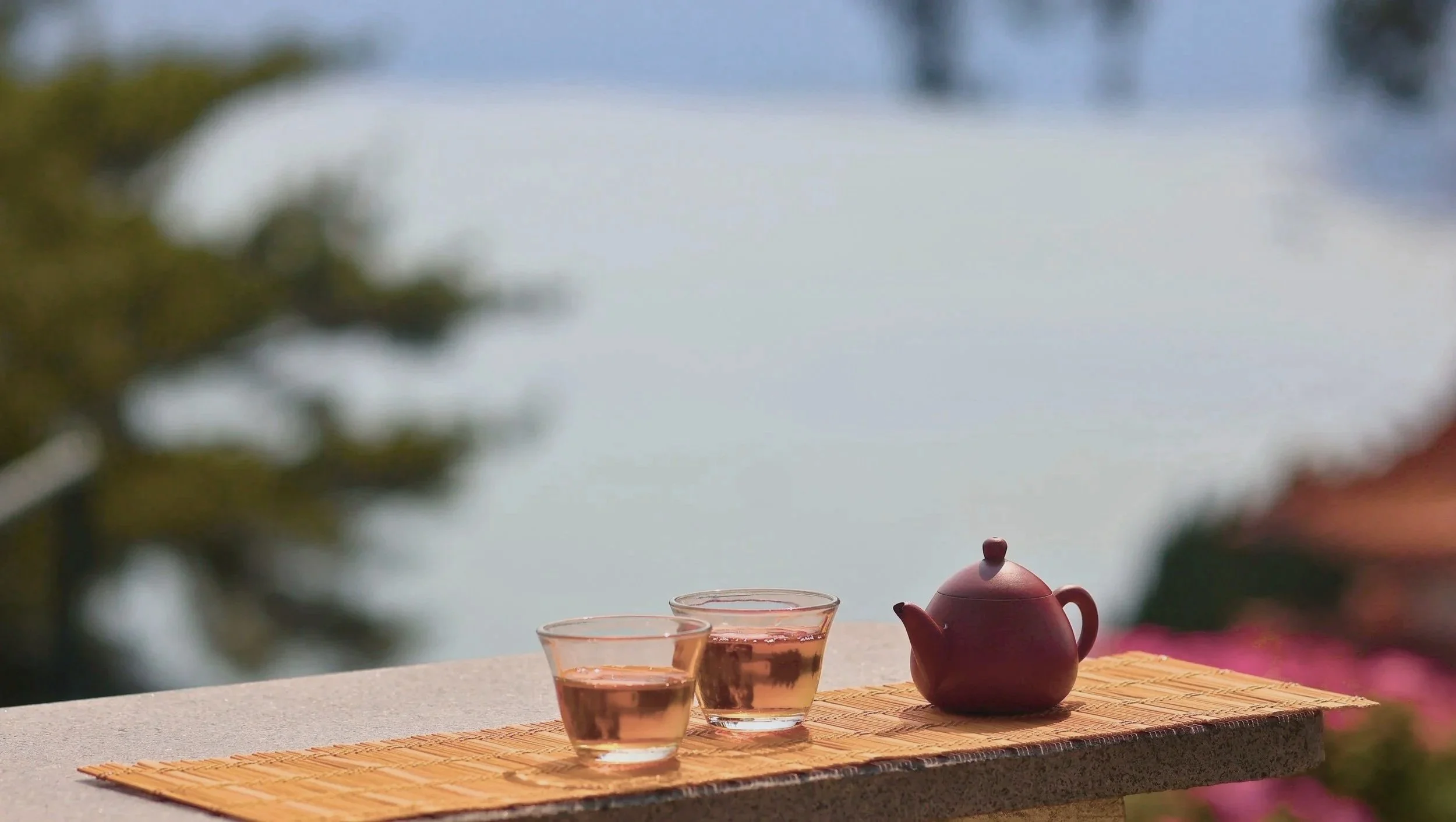 Sun Moon Lake · Shan-Cha, The Tea Almost Forgotten  
