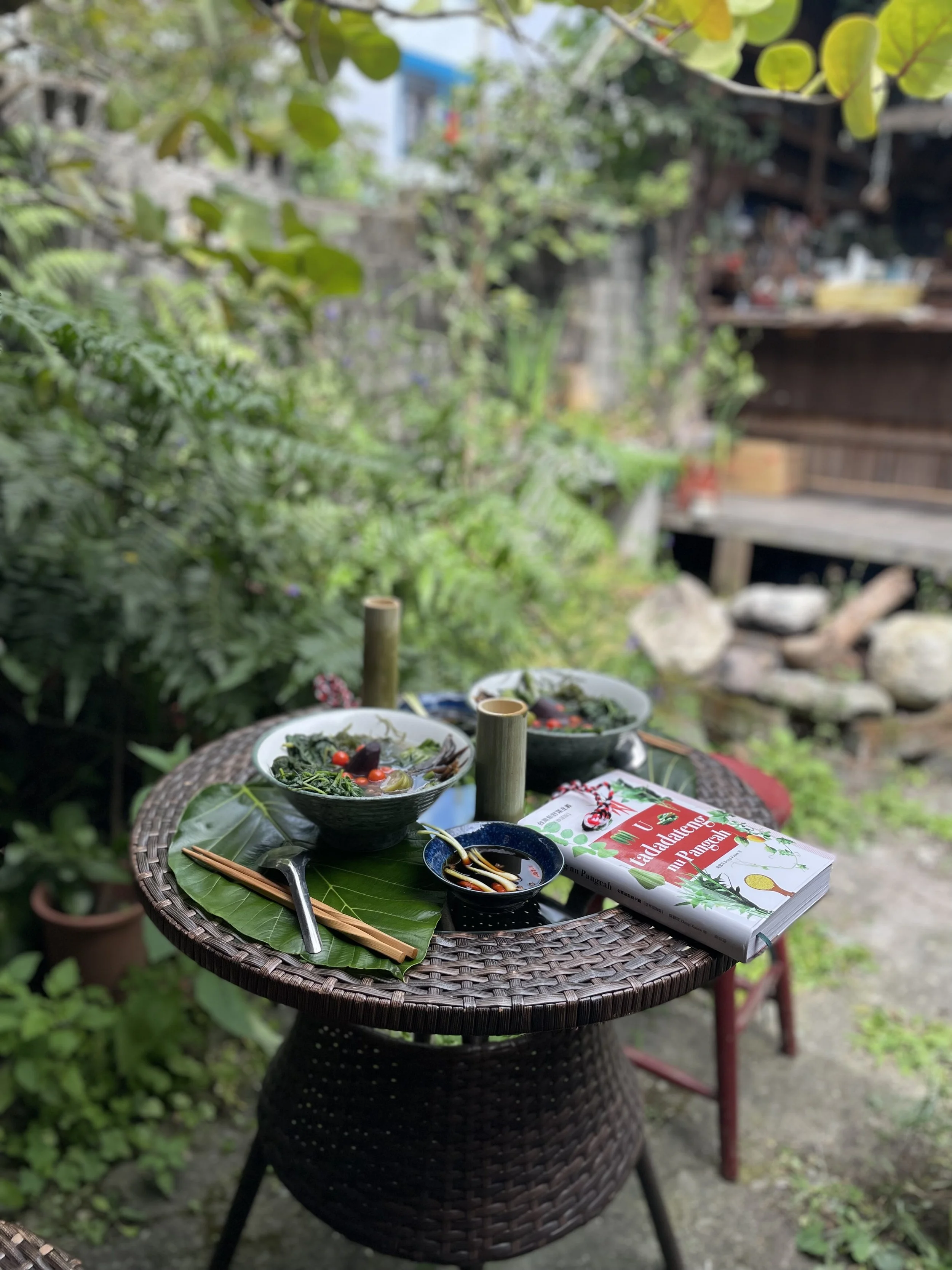 Scouting Taiwan terra