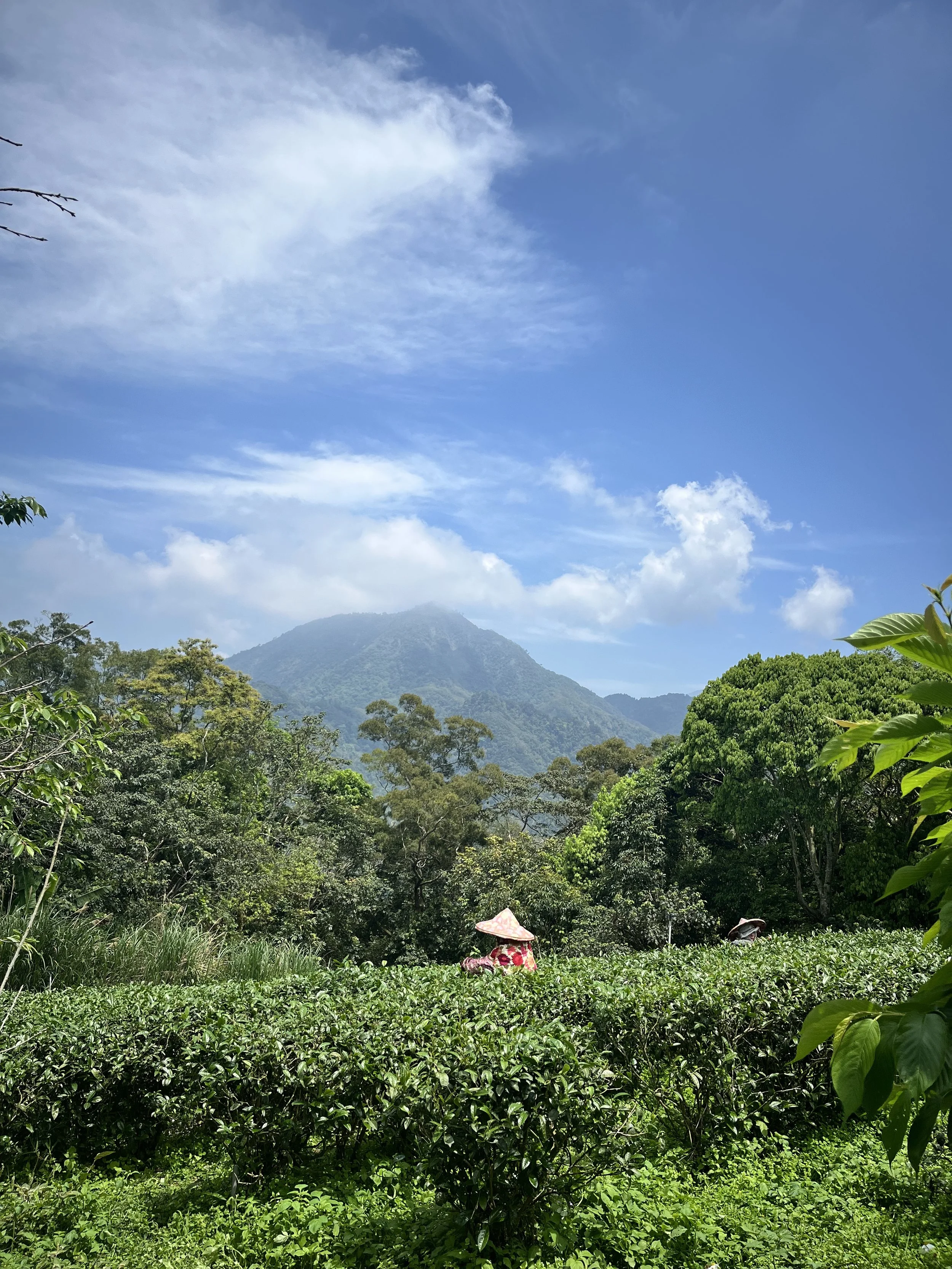 reach the farm to find the secret