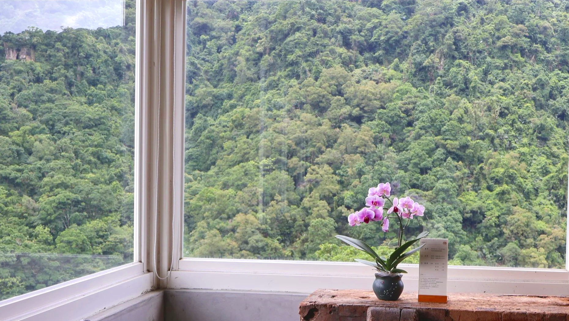 Maokong・Taipei