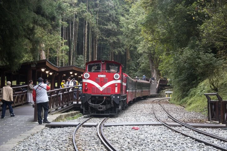 The well-known Alishan forest railway!