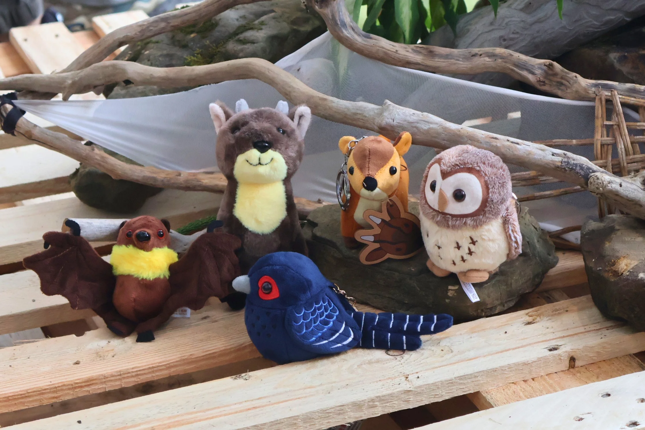 Taiwan's protected wildlife reimagined as plush toys — quietly educational, openly irresistible.