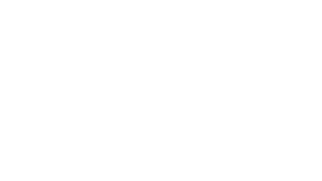 C A P A (Copy) (Copy) (Copy)