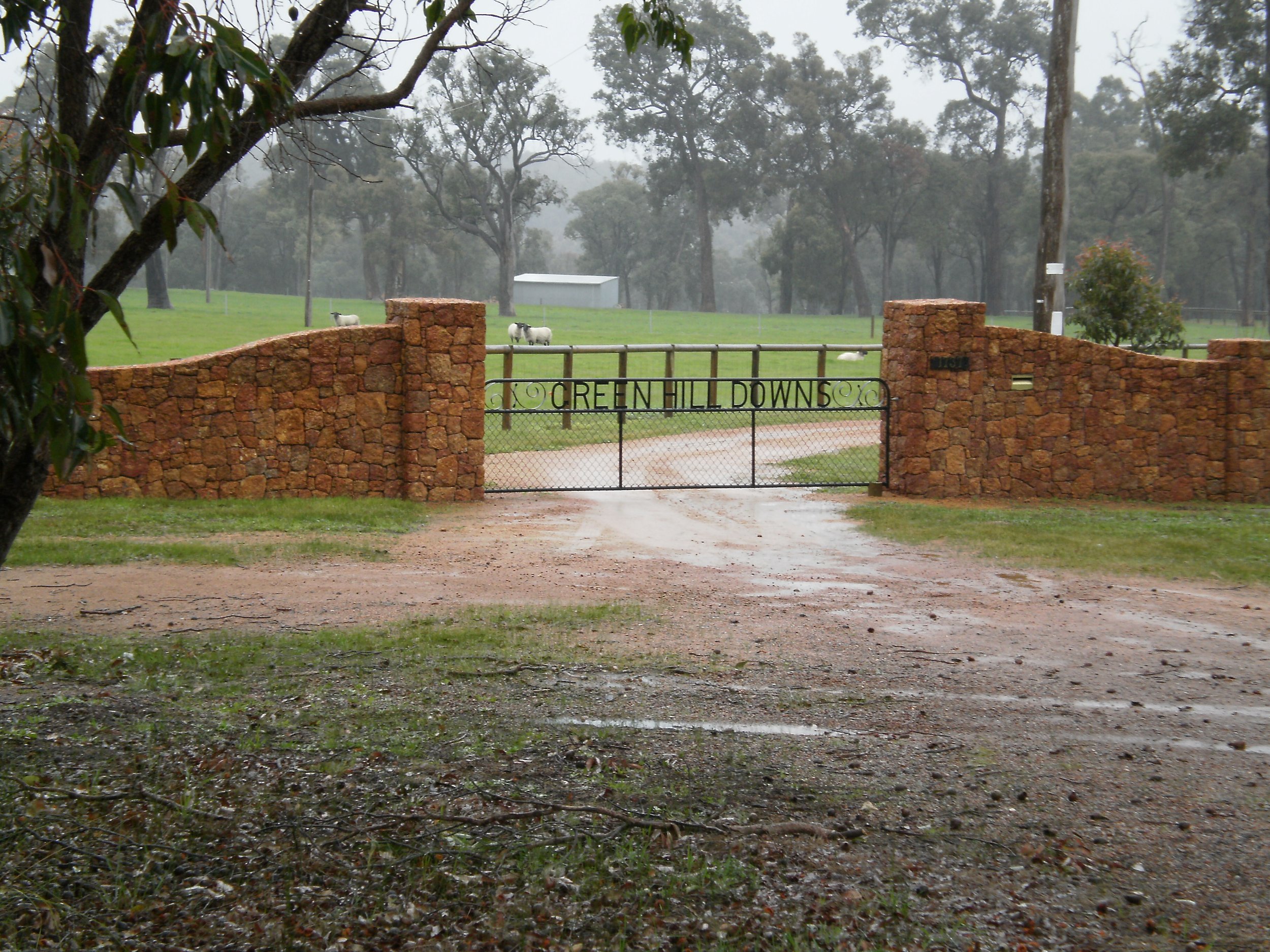 The Green Hill Downs Project