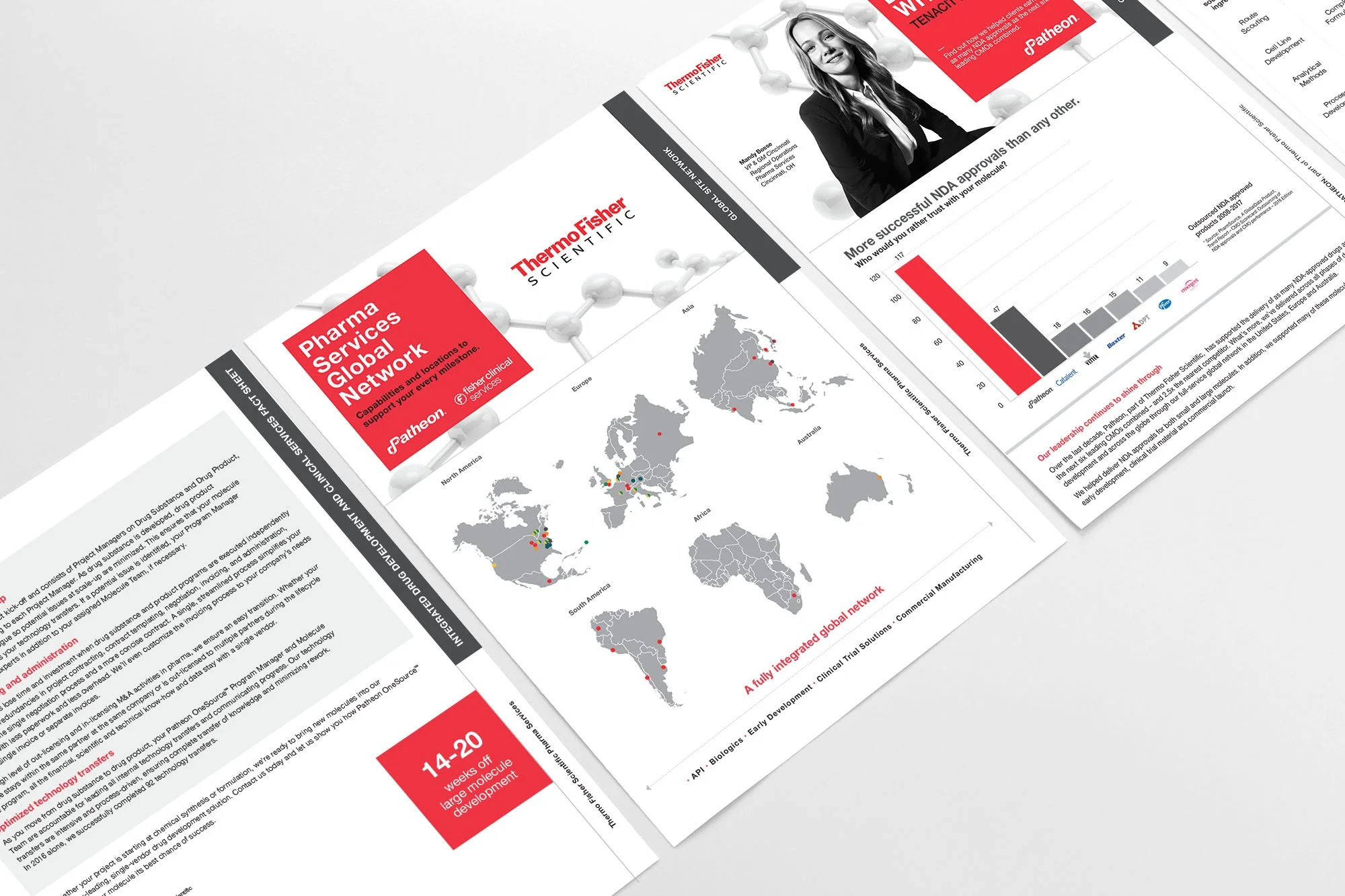 Patheon-slide-3-copy.jpg