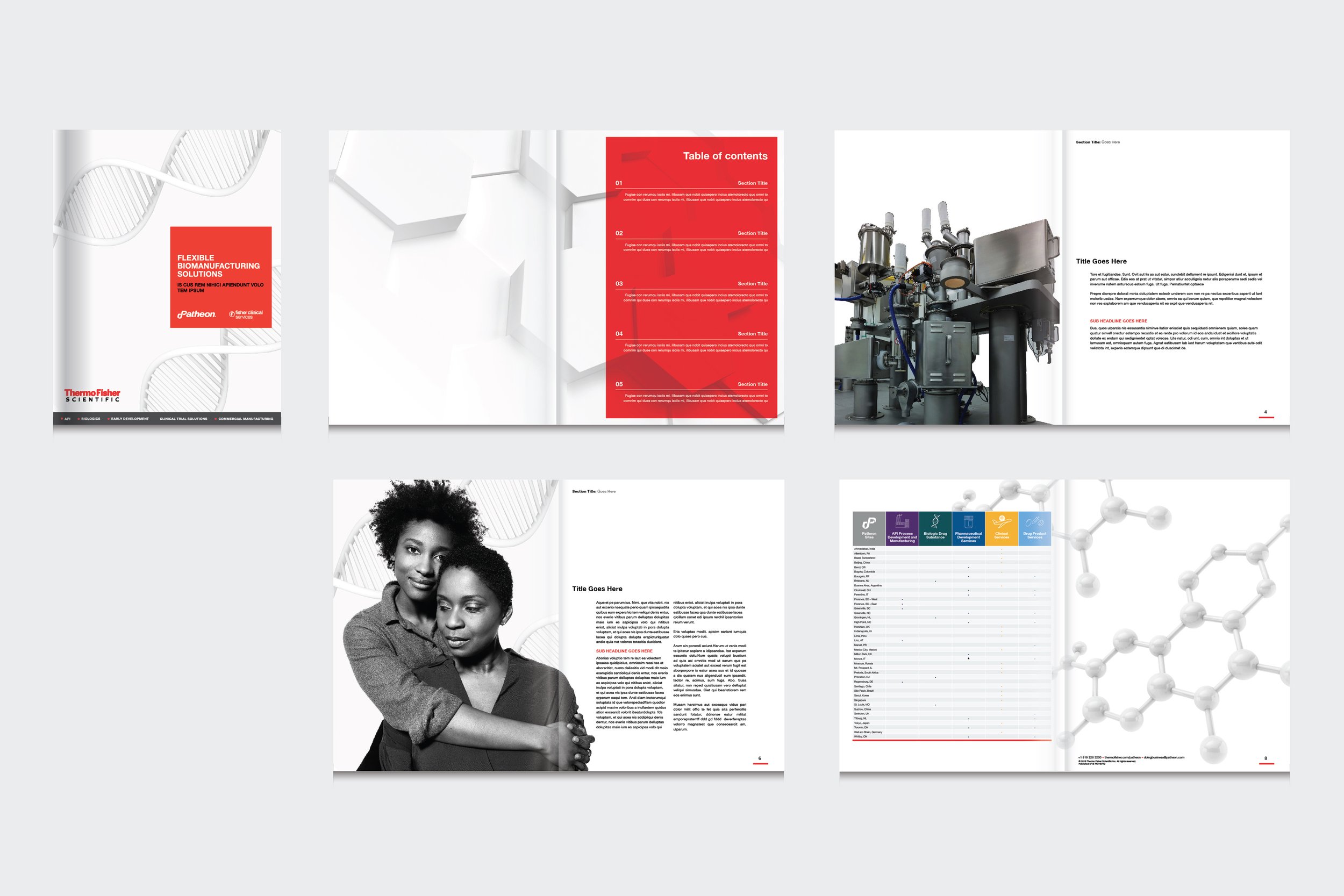 Patheon-slide_2_new.jpg