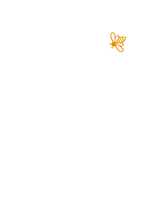 Boyd Wellness