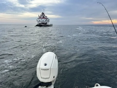 E5017B77-47DE-4916-9B14-63F54B22731A_4_5005_c.jpeg