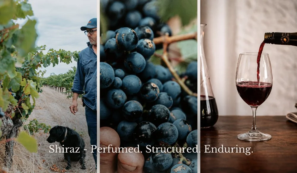 Frankland River Shiraz vines, ripe dark grapes and red wine being poured into a glass.