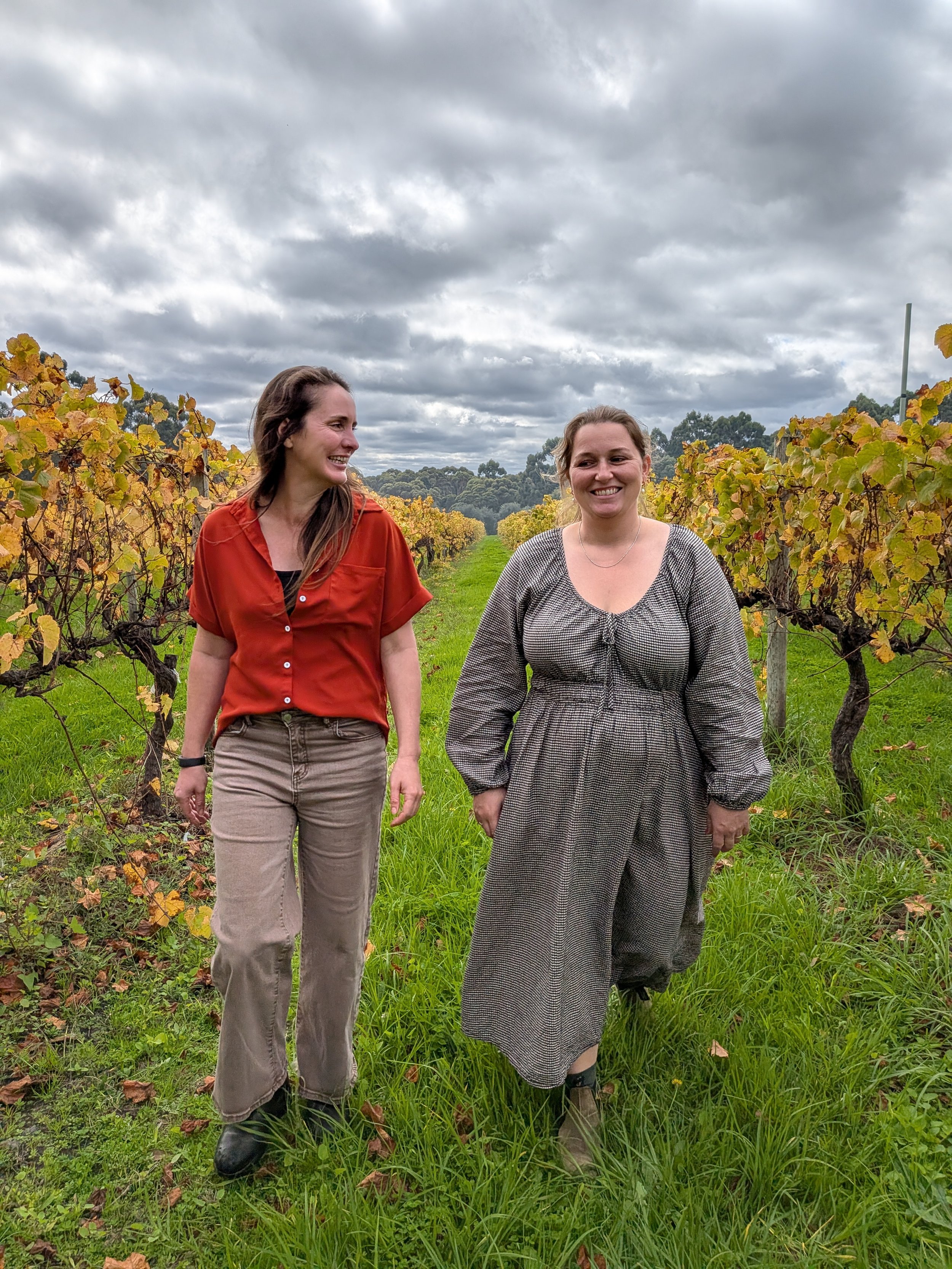 Willoughby Park Wines