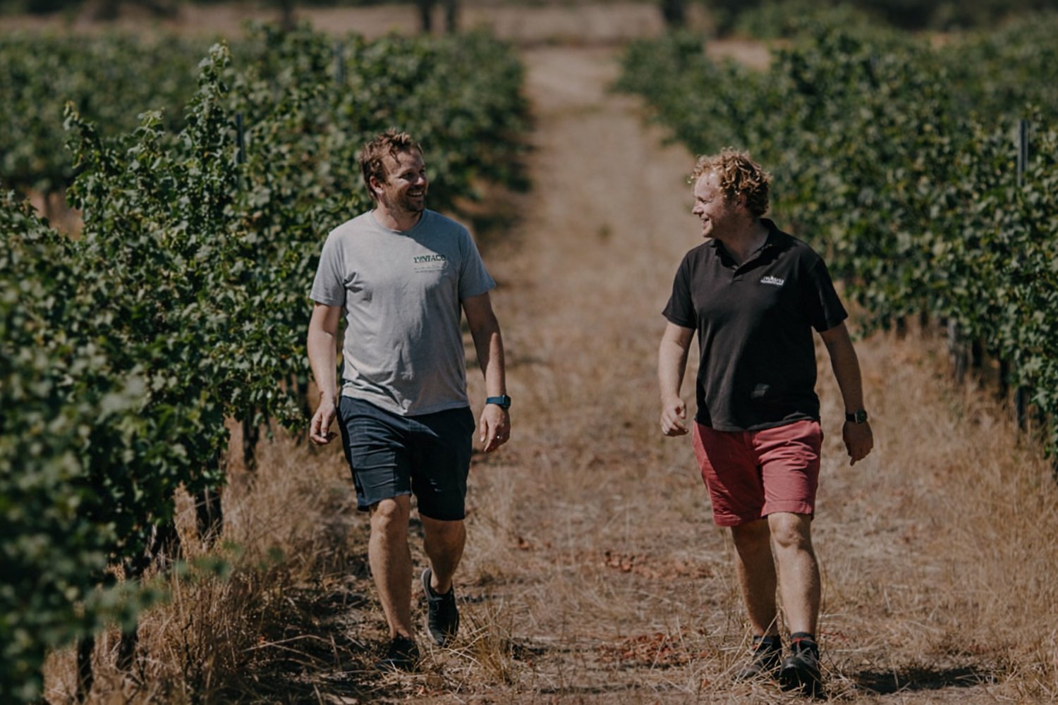 Gilberts Wines