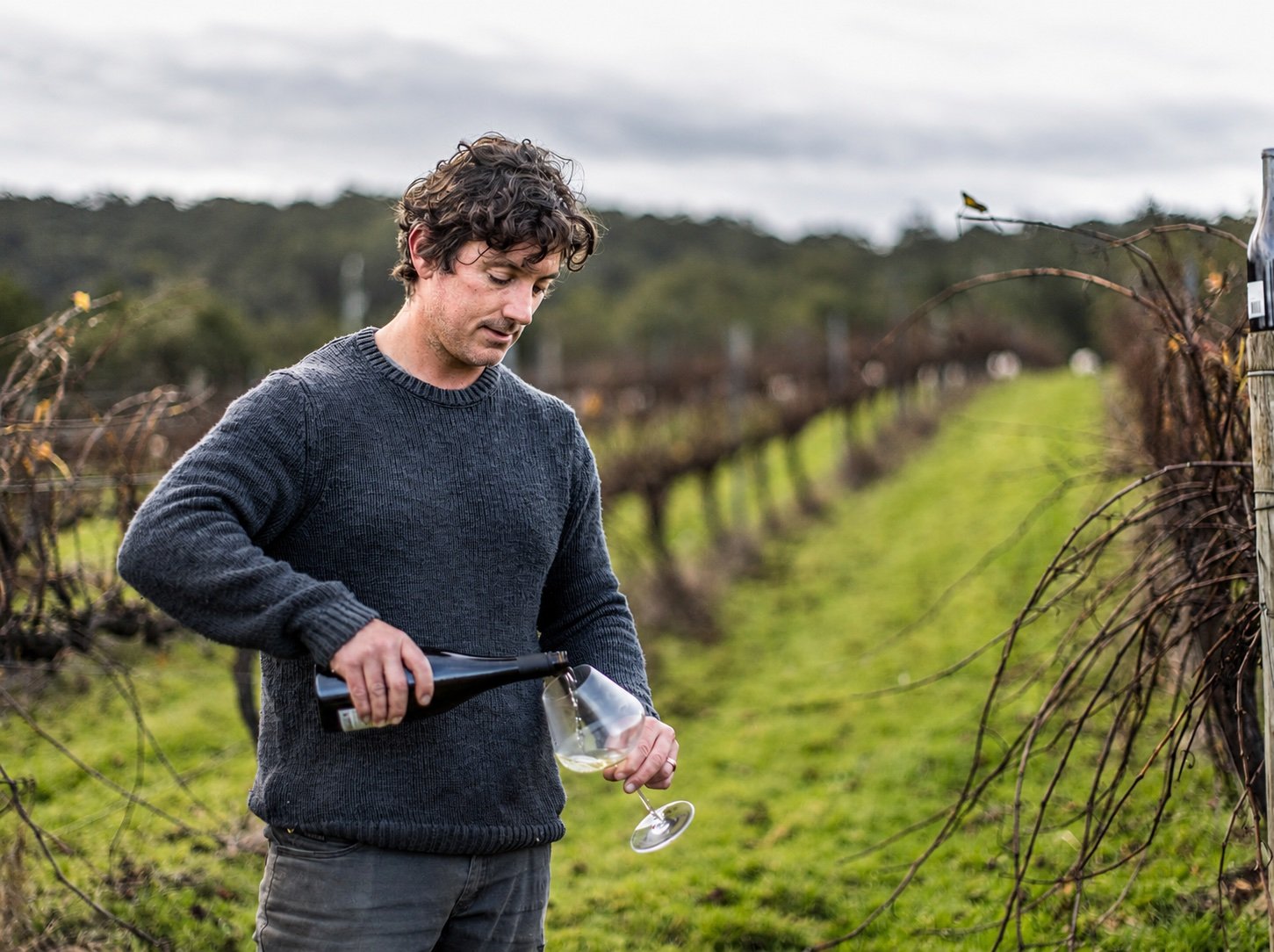 Express Winemakers