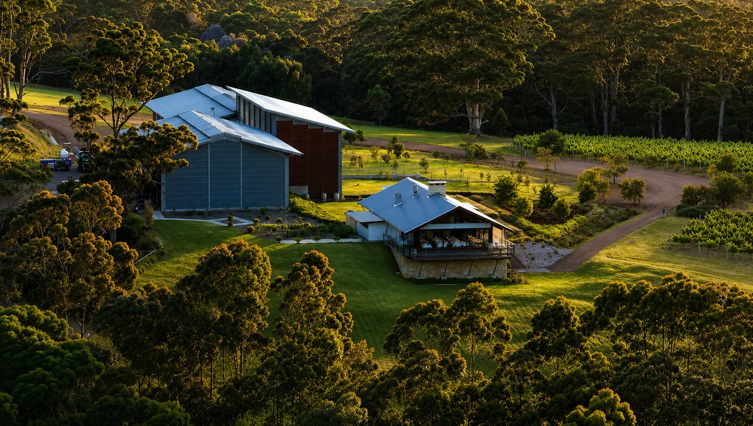 Forest Hill Vineyard