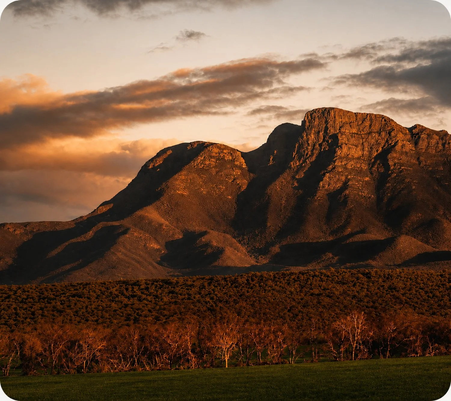 Dramatic mountain landscape in the Great Southern region during golden light.