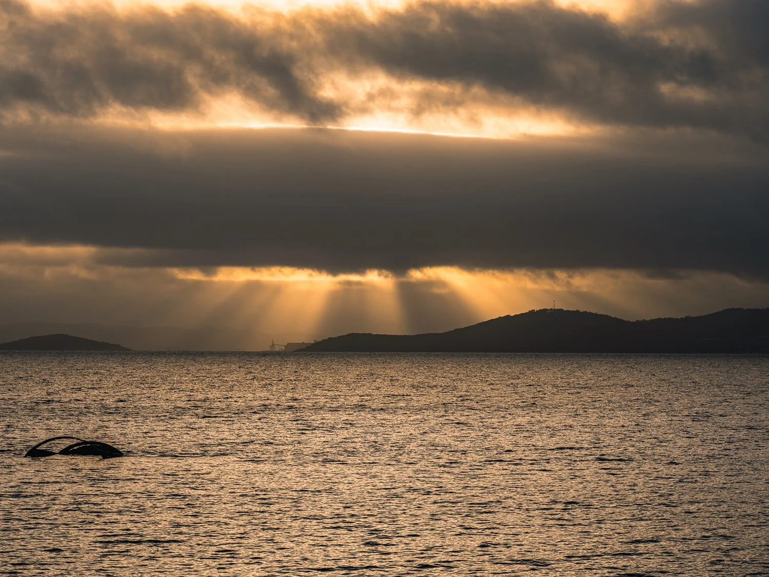 Sunbeams breaking through storm clouds over the Southern Ocean at Ledge Beach near Albany.