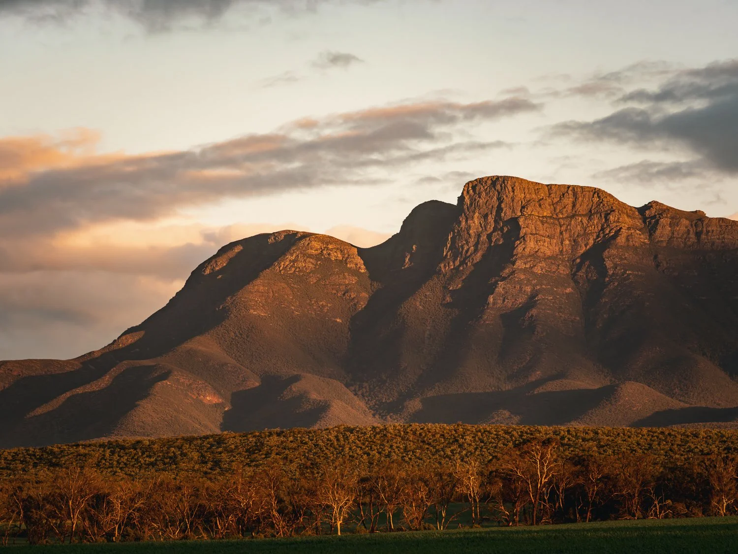 A mountain range at sunset with rocky peaks illuminated by warm light, a cloudy sky, and a forested foreground with leafless trees.
