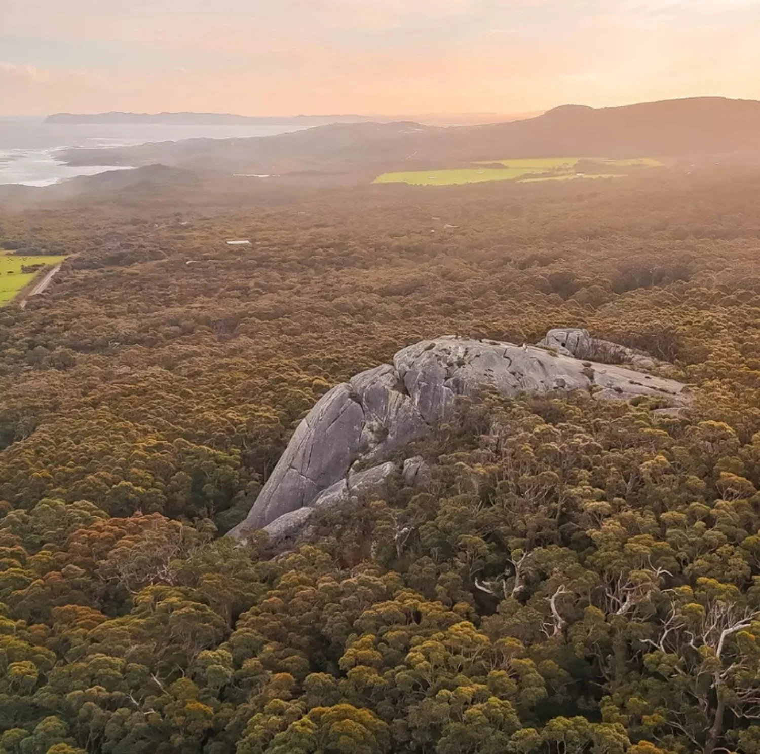 Aerial view of Monkey Rock in Denmark surrounded by native forest.