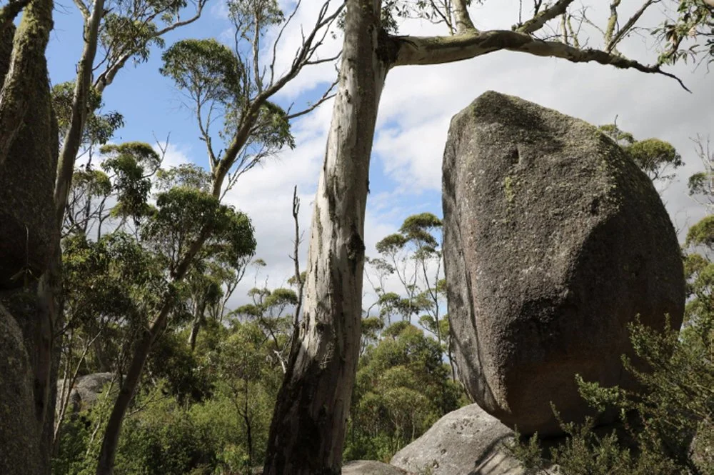 Balancing Rock surrounded by native forest in Porongurup National Park.