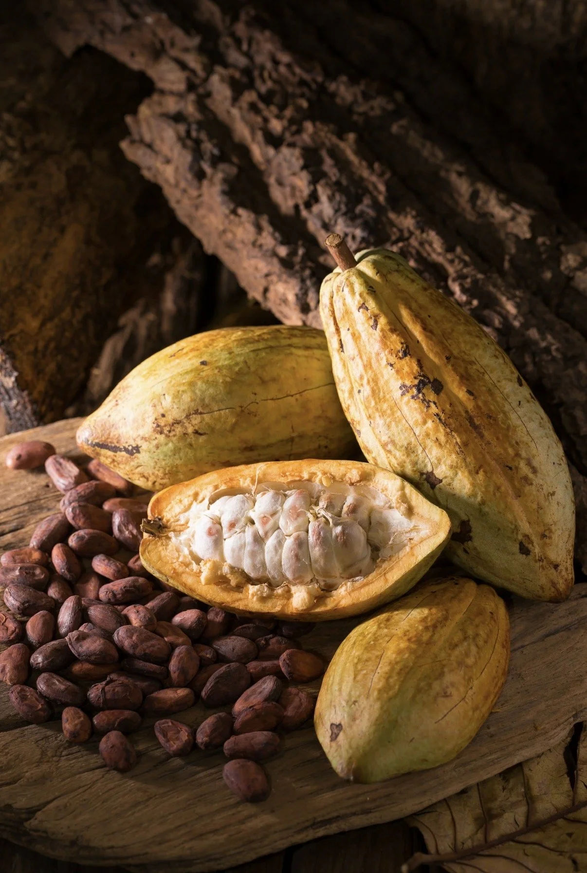 Cacao pods and beans on a wooden surface. One pod is opened showing white pulp and cacao beans inside. The background is dark and rustic.