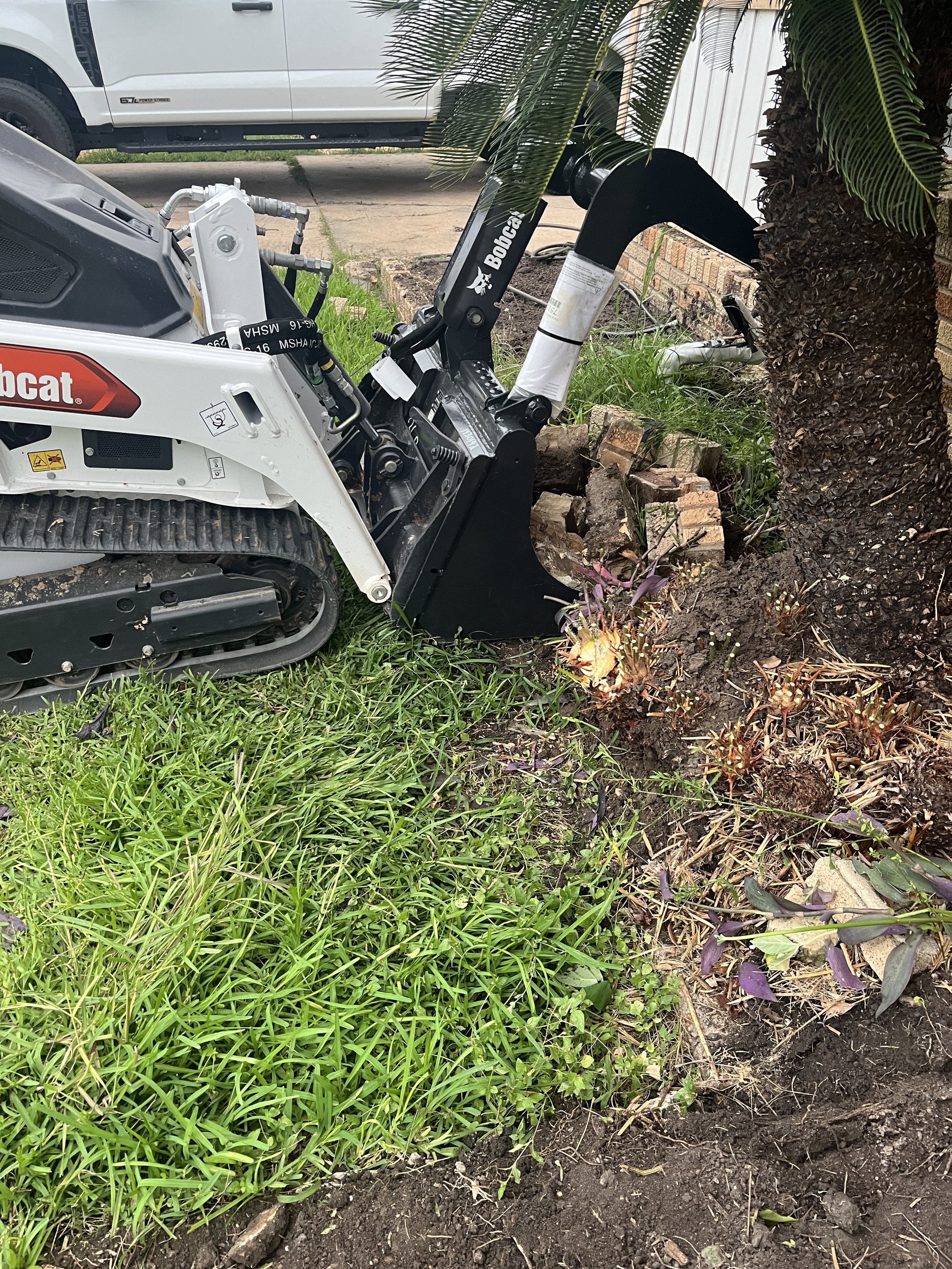 Landscape Removal