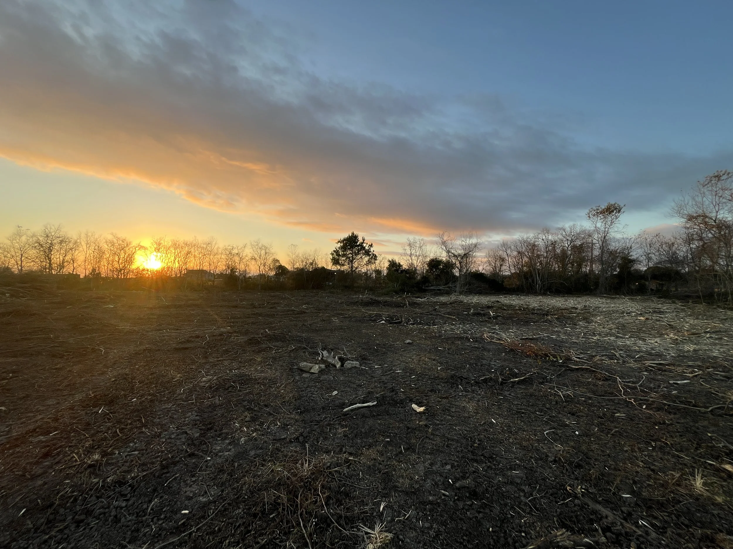 Land Clearing Site