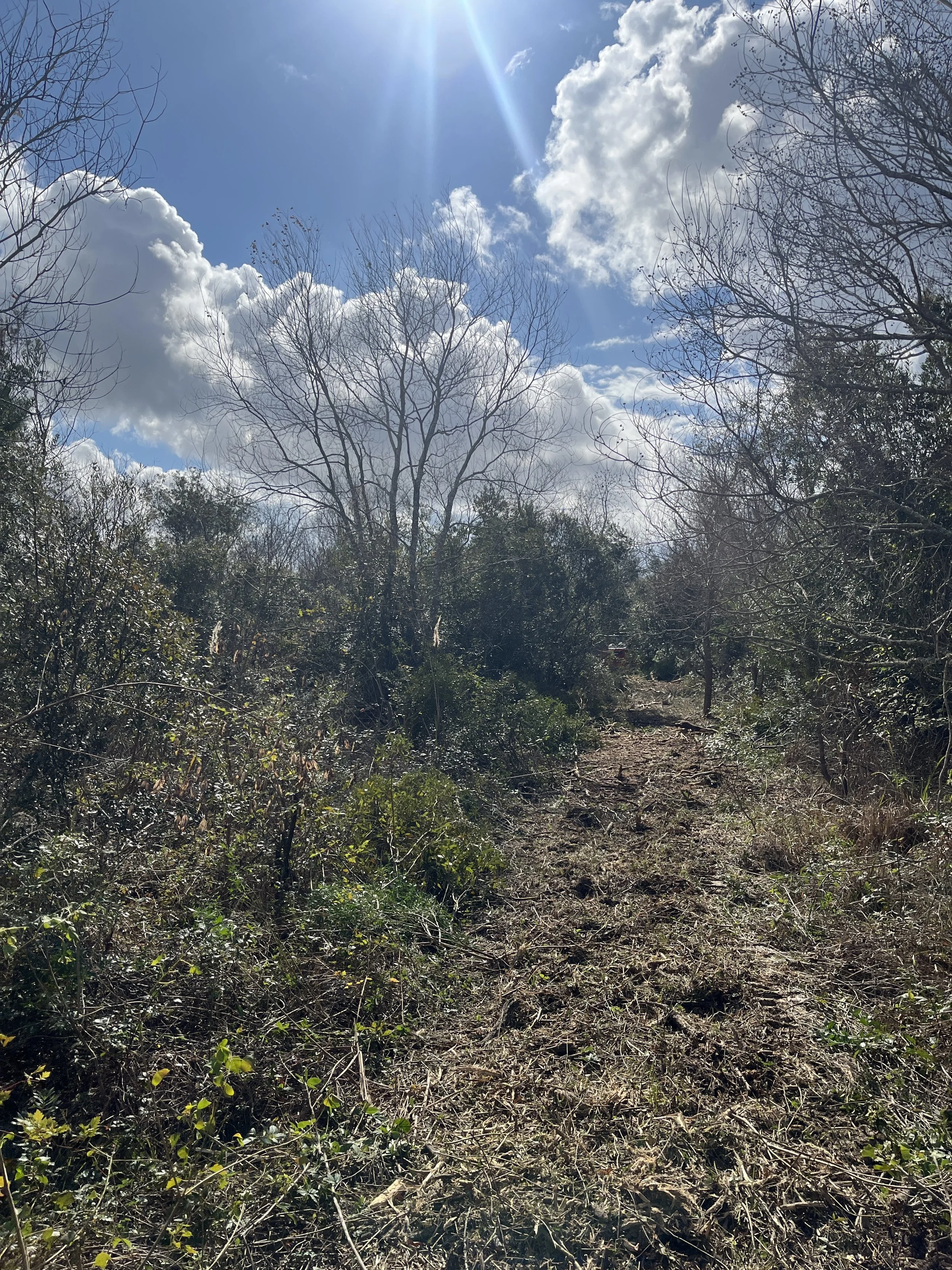 Land Clearing Site Pathway
