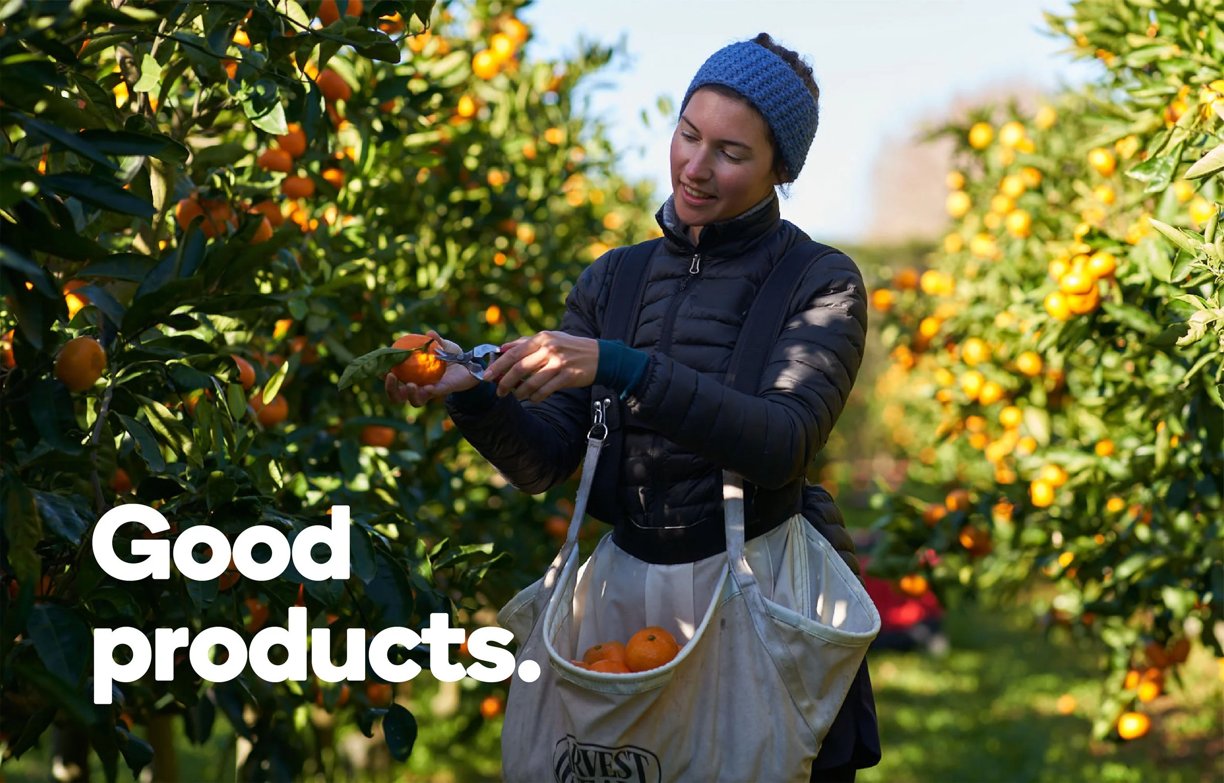 Photo of lady picking oranges with the Good products slogan.