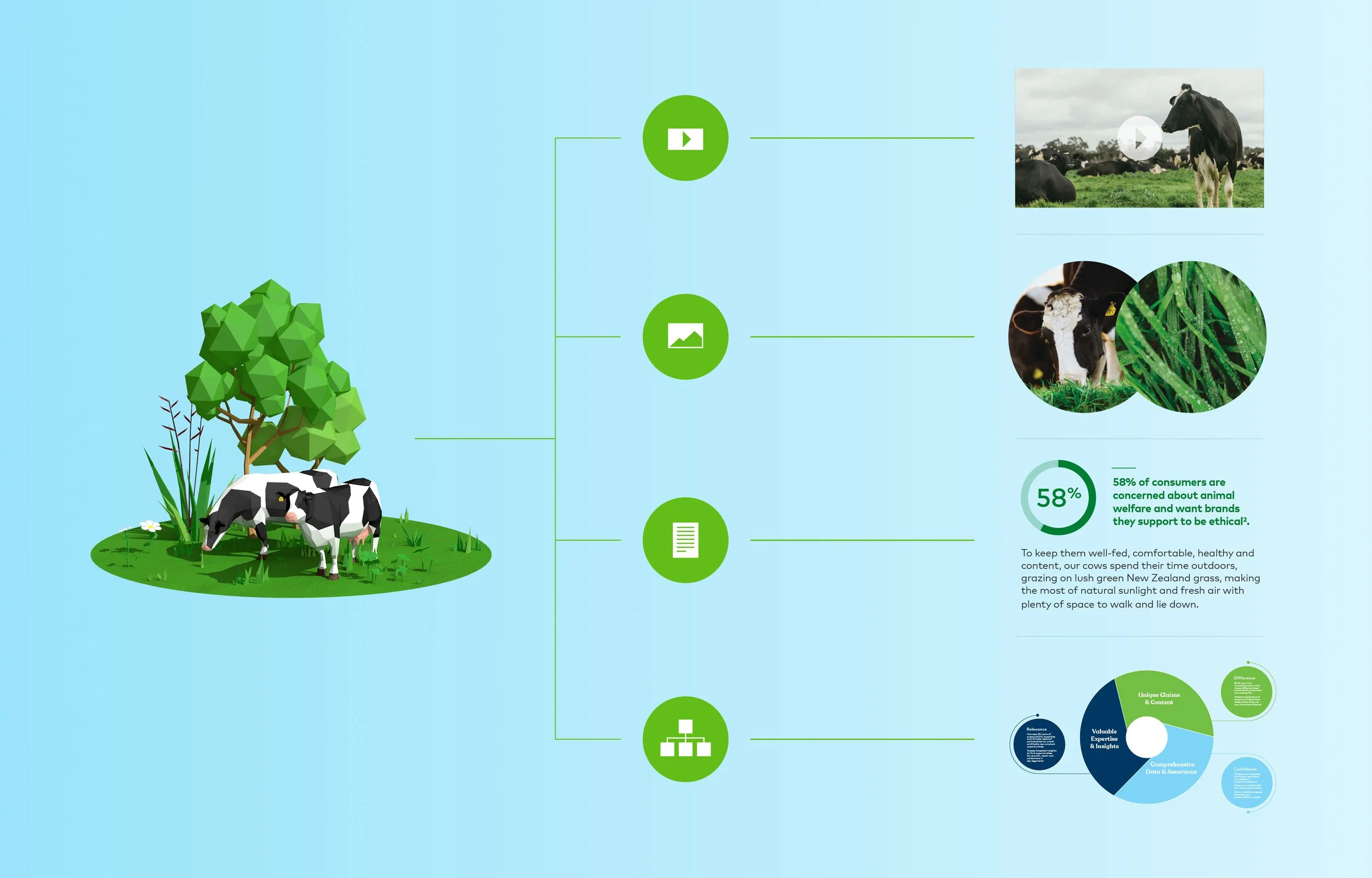 A digital infographic featuring a farm scene with cows grazing on grass, with a flowchart of icons and information about animal welfare.