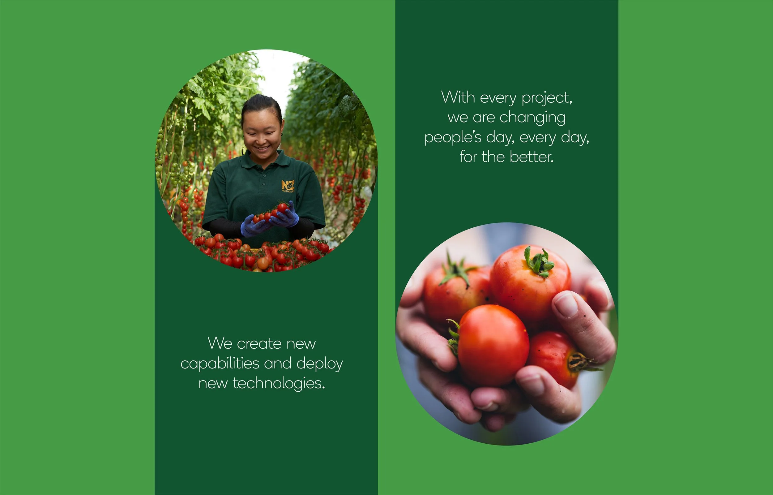 A woman in a uniform with gloves is harvesting ripe tomatoes in a greenhouse. The right side shows a hand holding several fresh tomatoes, and the background contains green plant rows. Over the image, there are phrases: 'With every project, we are changing people's day, every day, for the better' and 'We create new capabilities and deploy new technologies.'