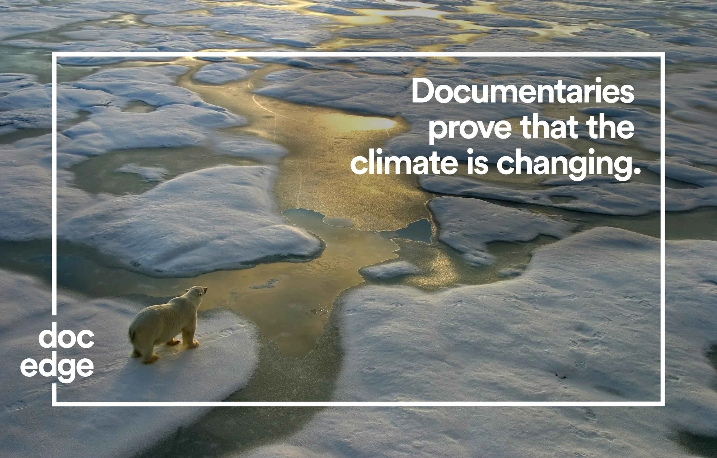 A polar bear standing on ice amid melting ice sheets and water, with sunlight reflecting on the water. Overlaid text states, 'Documentaries prove that the climate is changing.' with the Doc Edge logo.