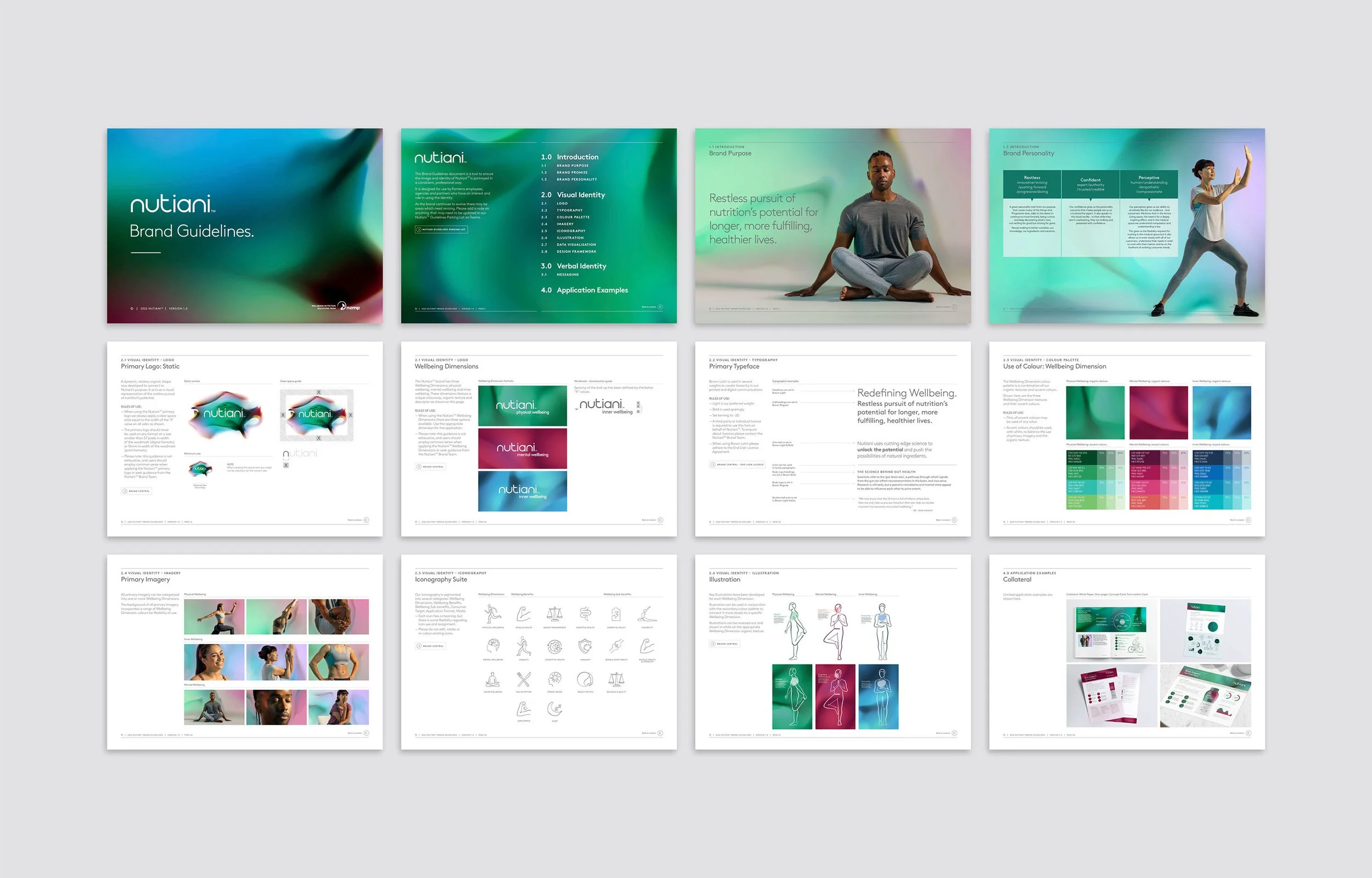 Nutiani brand guidelines.