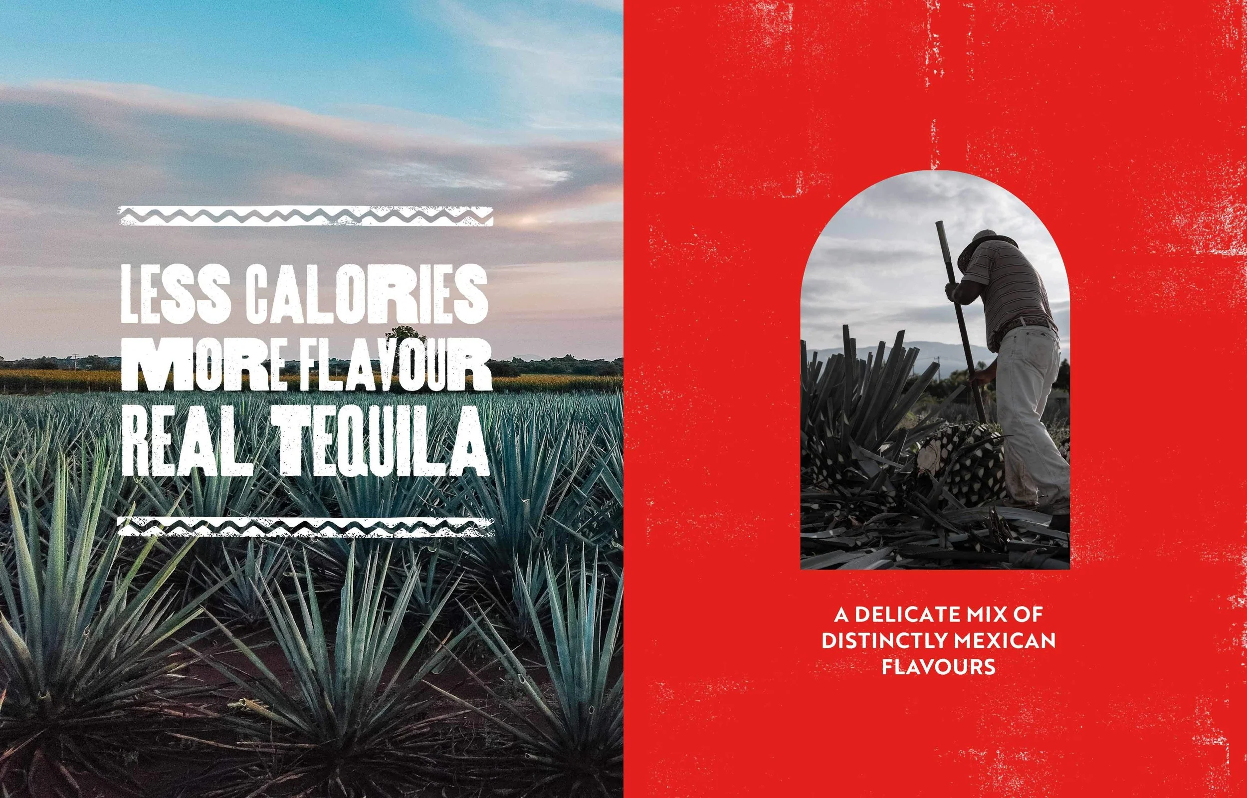 A promotional image with a background of an agave field and a red textured background showing a person harvesting agave plants. The text highlights tequila ingredients and Mexican flavours.