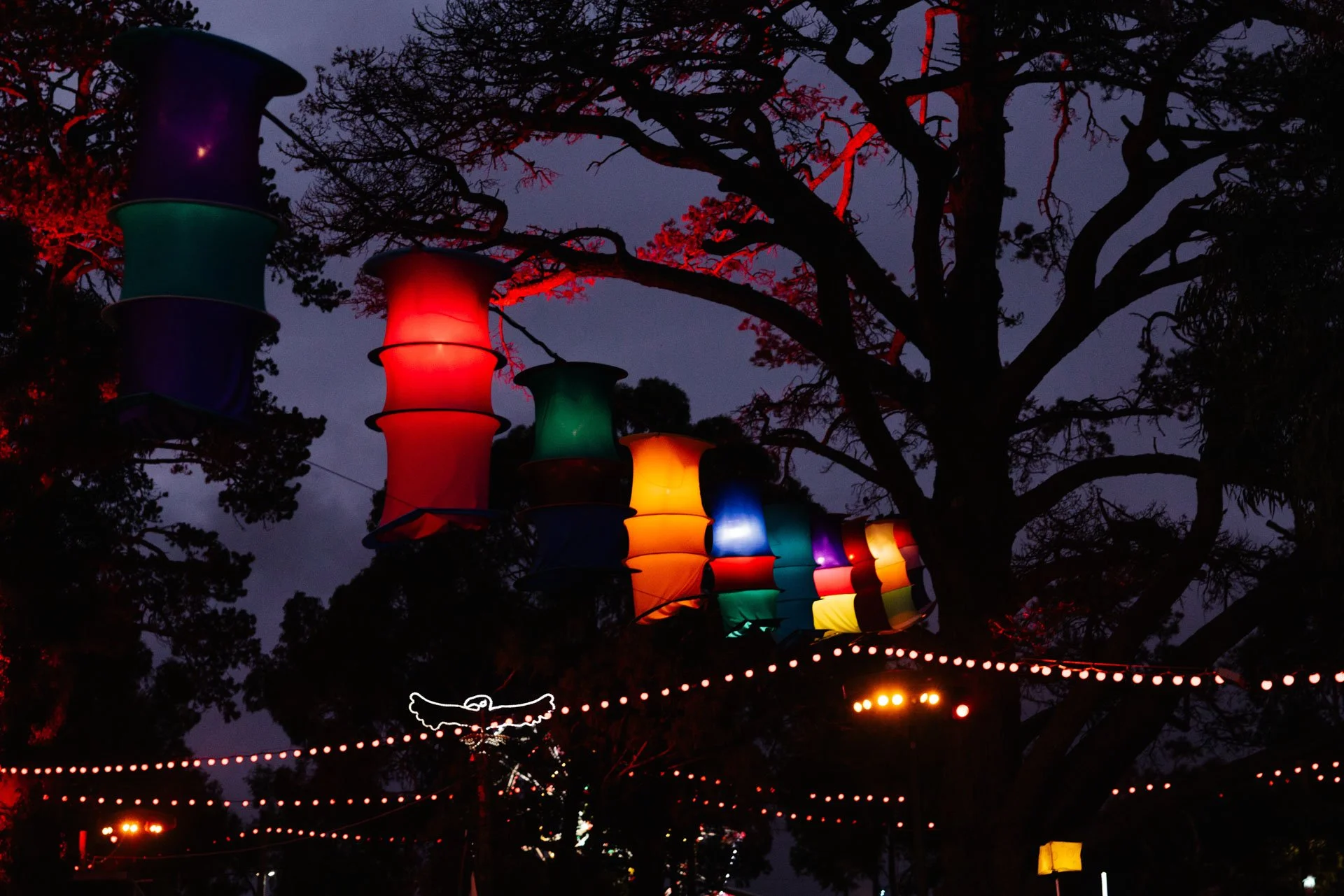 Colorful lanterns hanging from a tree at night, illuminated in various colors including red, yellow, green, and blue, with string lights below.